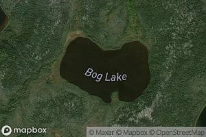 Bog Lake