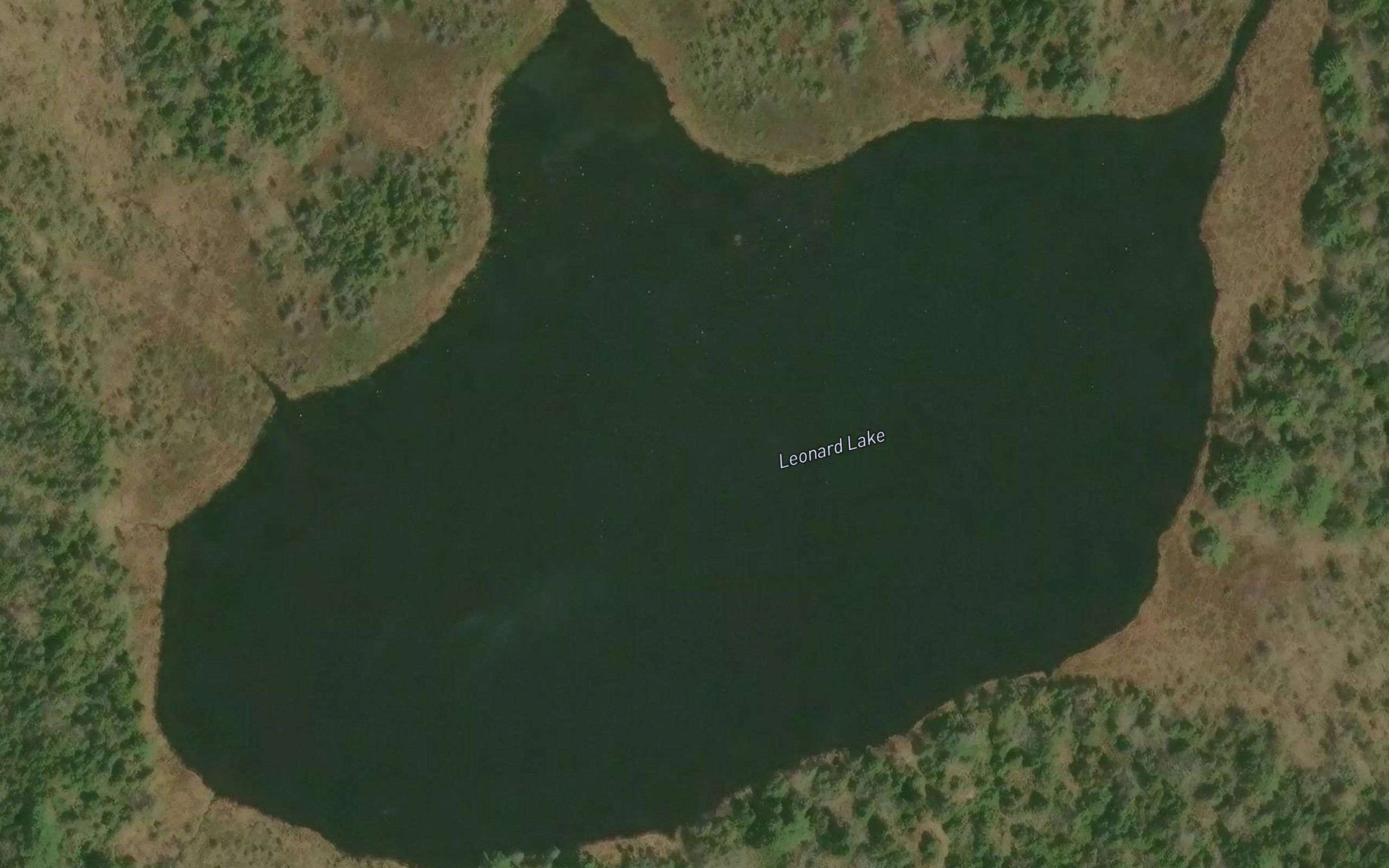 Leonard Lake
