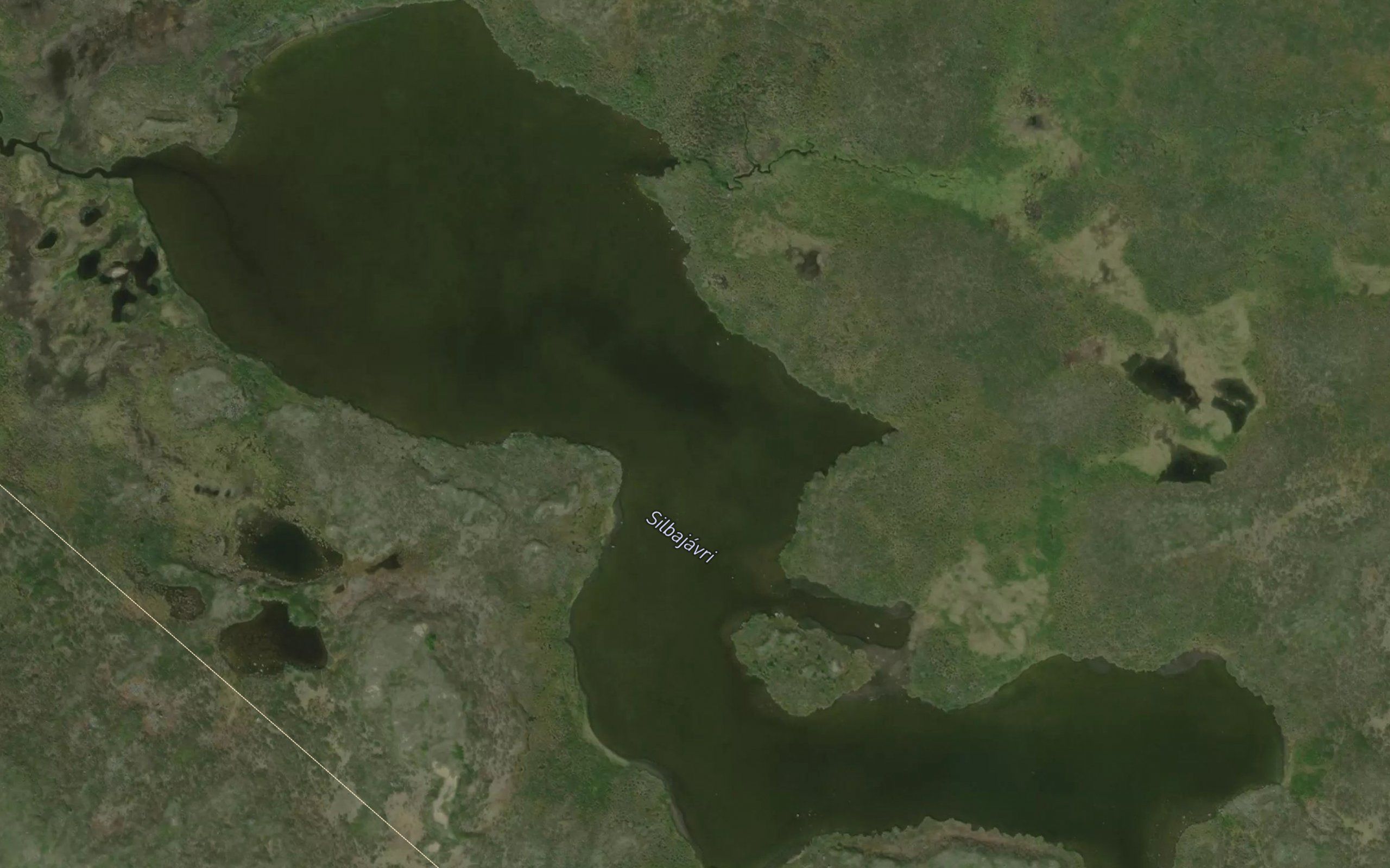 Silbajavri