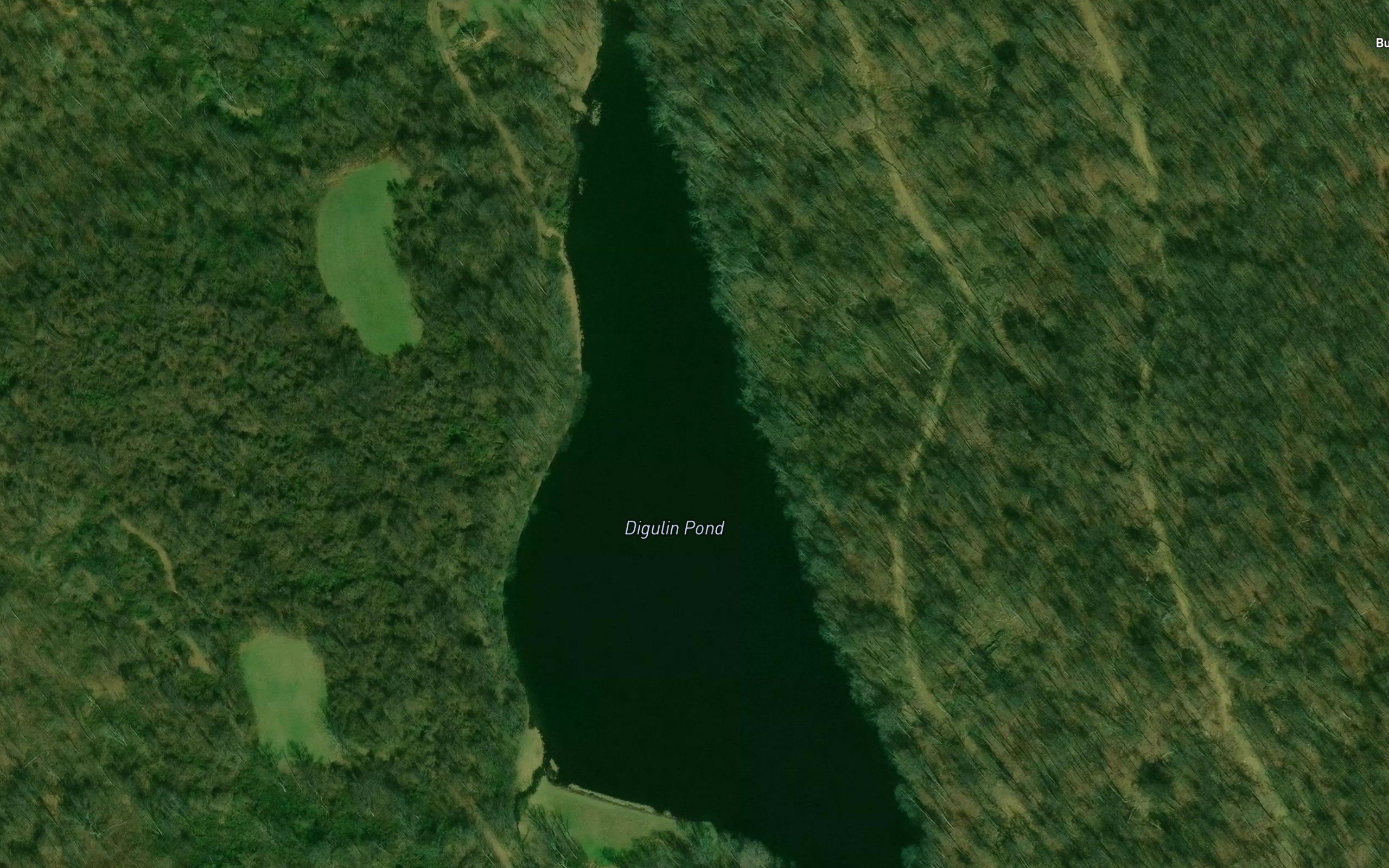 Digulin Pond