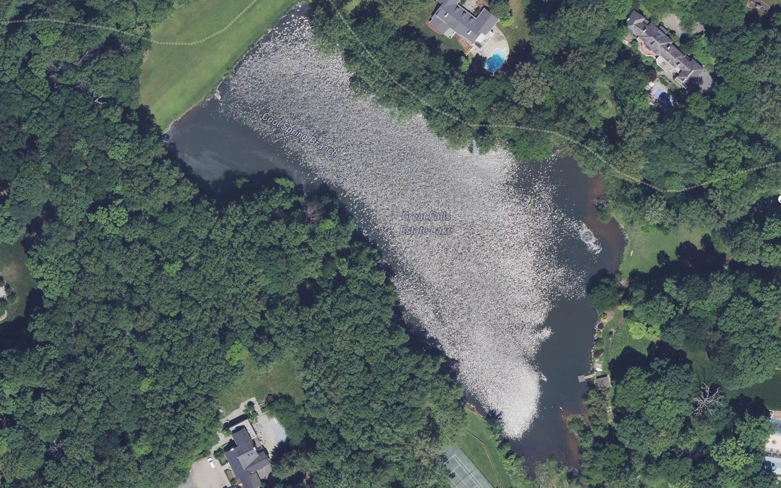 Great Falls Estate Lake