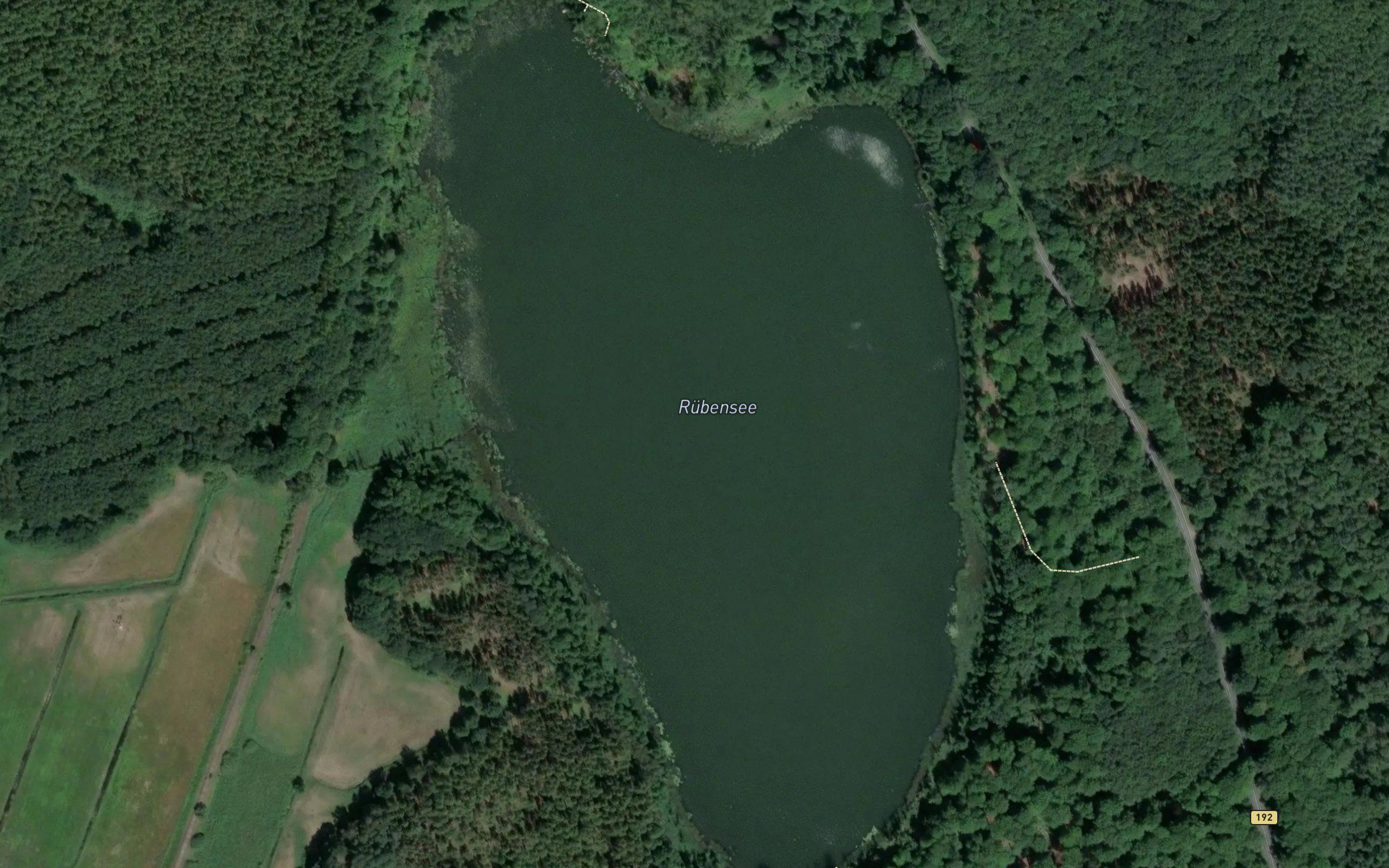 Rubensee