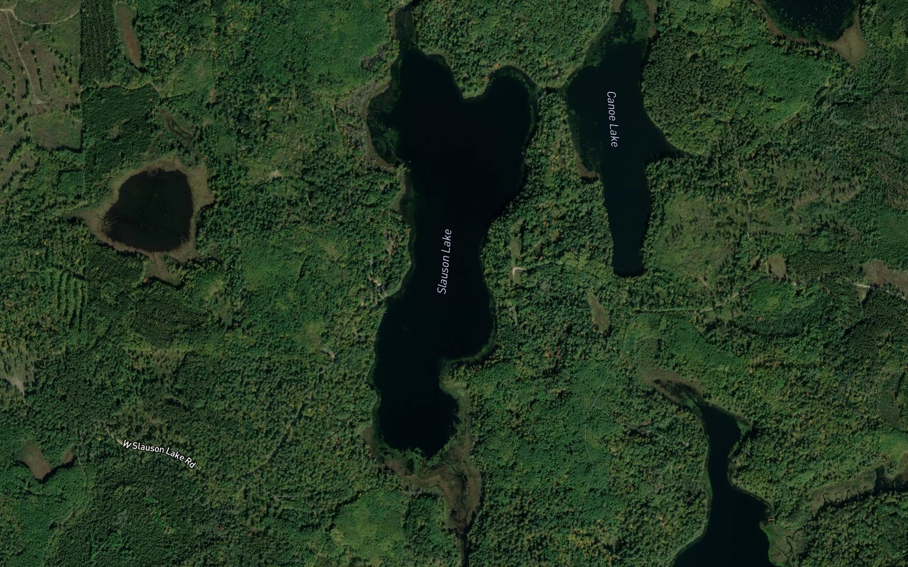 Satellite map of the Slauson Lake