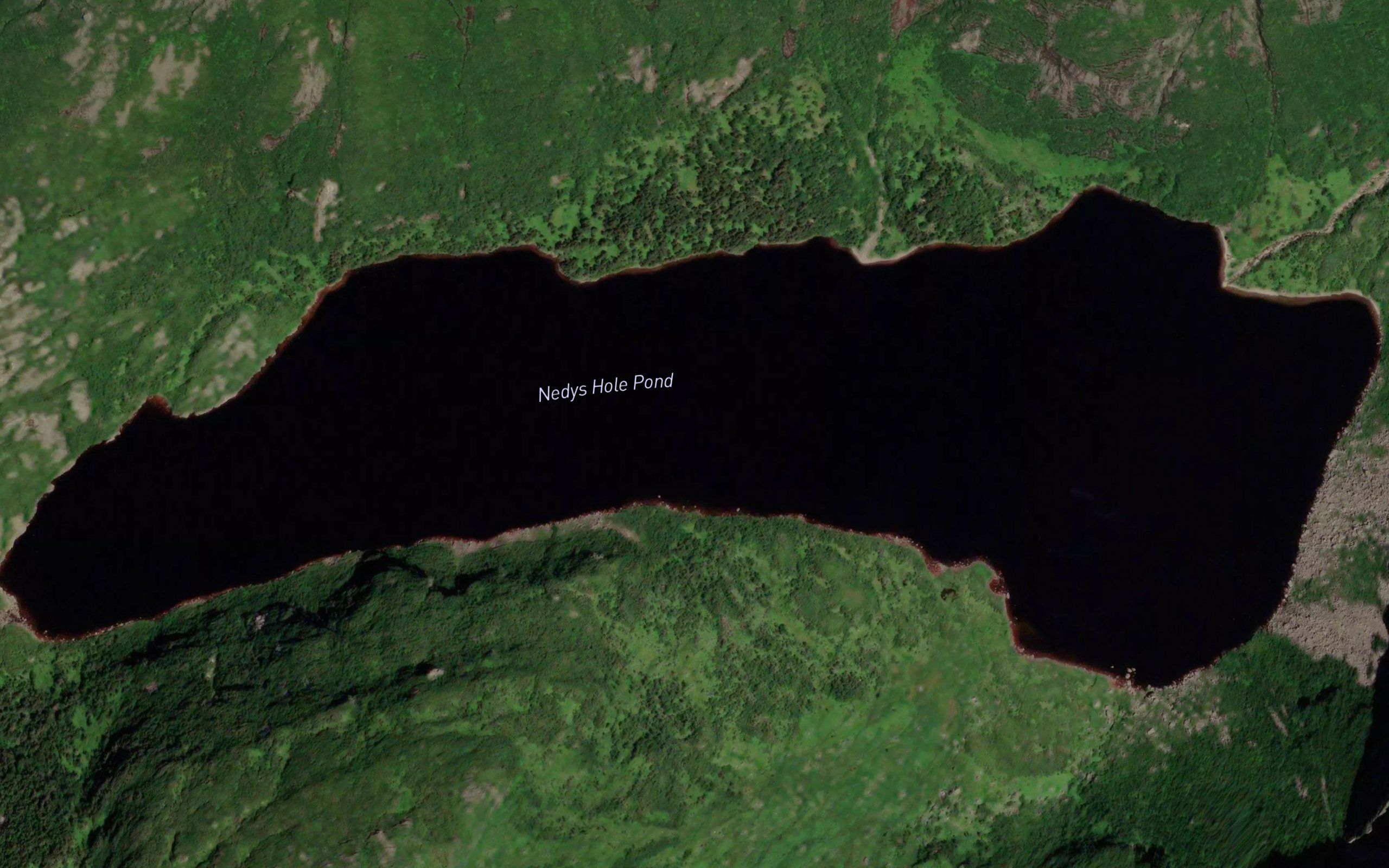 Nedys Hole Pond