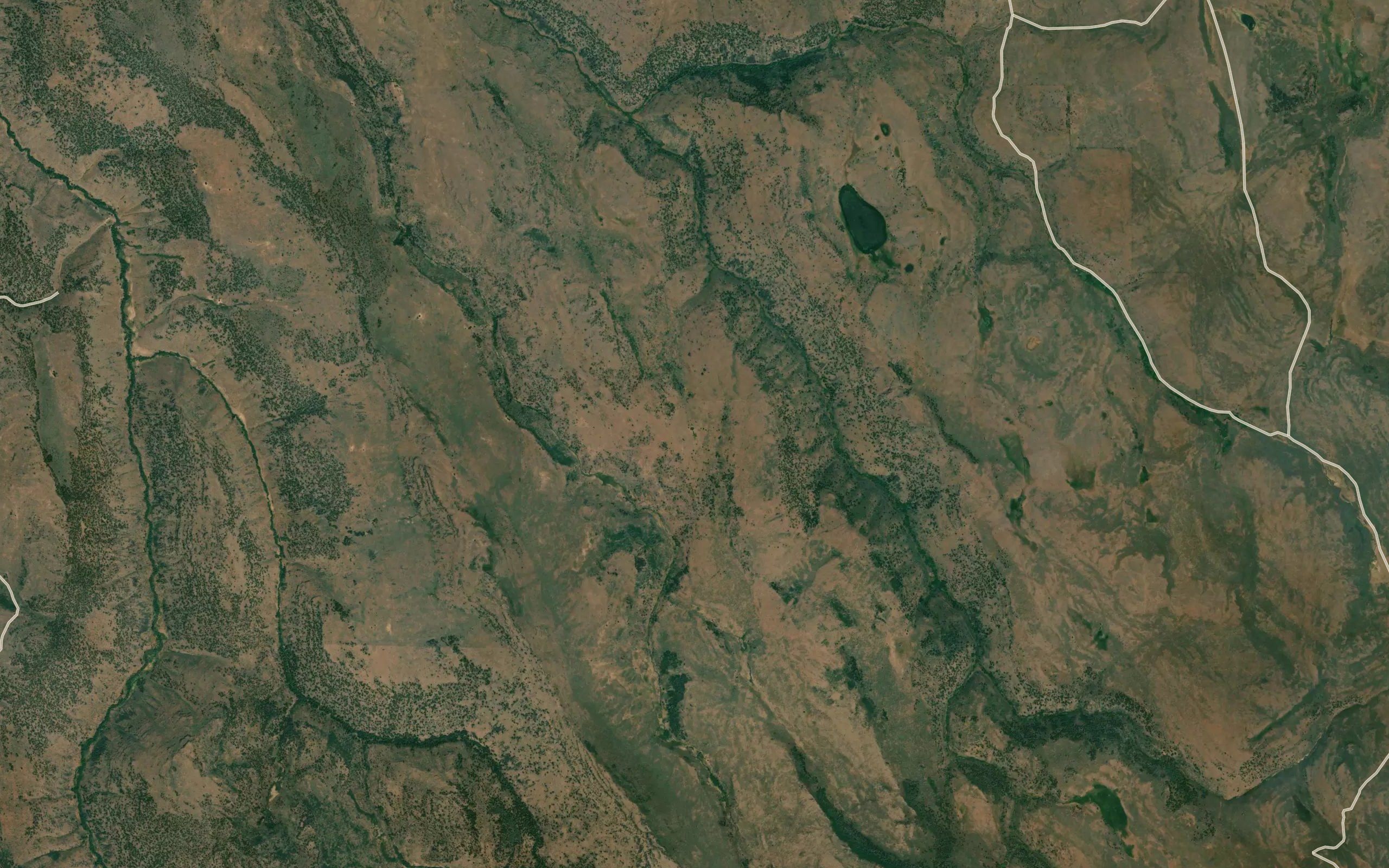 Waterhole Spring