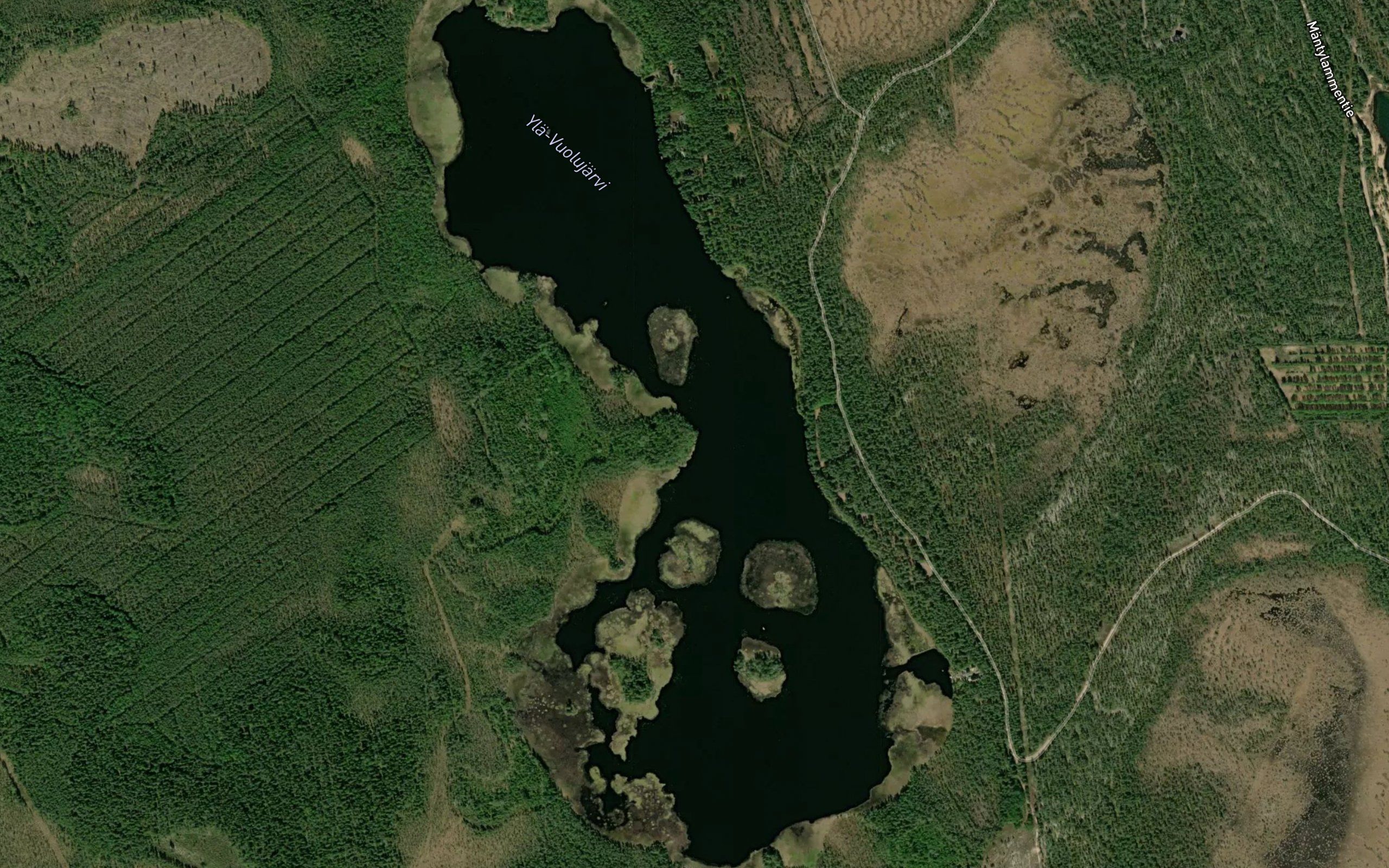 Yla-Vuohijarvi