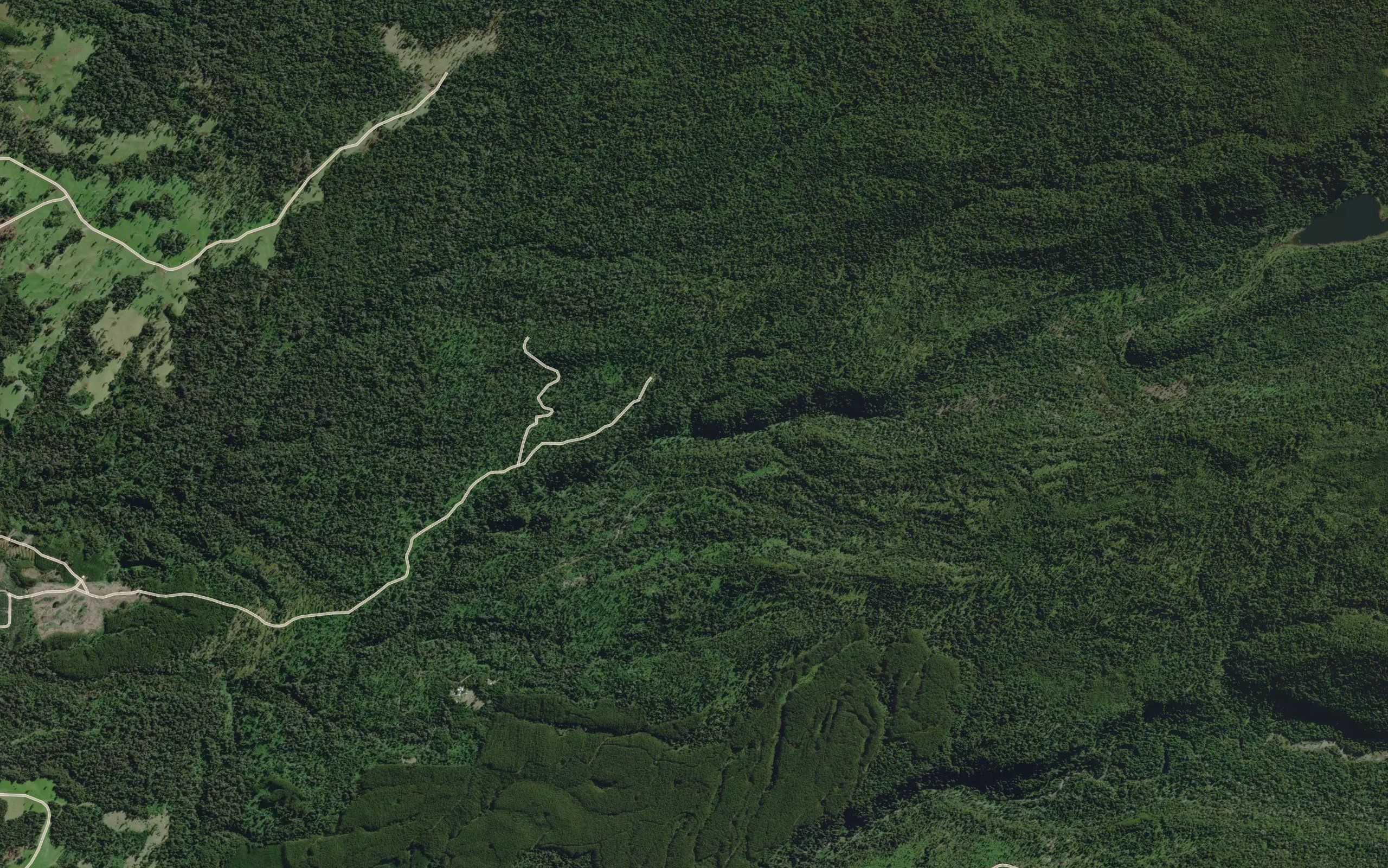 Estero Rinconada