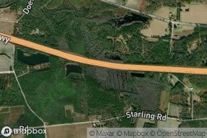 Starlins Pond (historical)