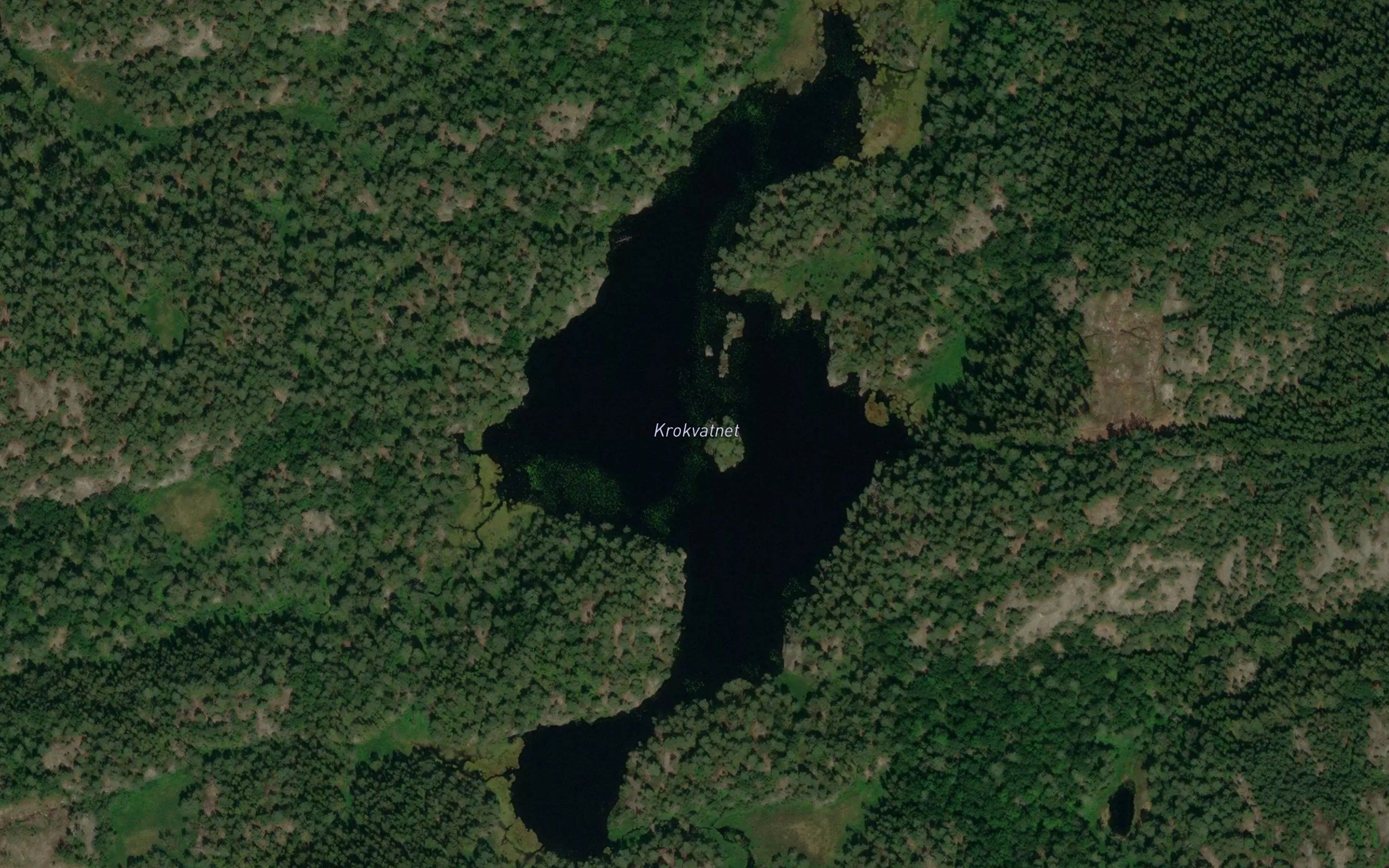Krogevann