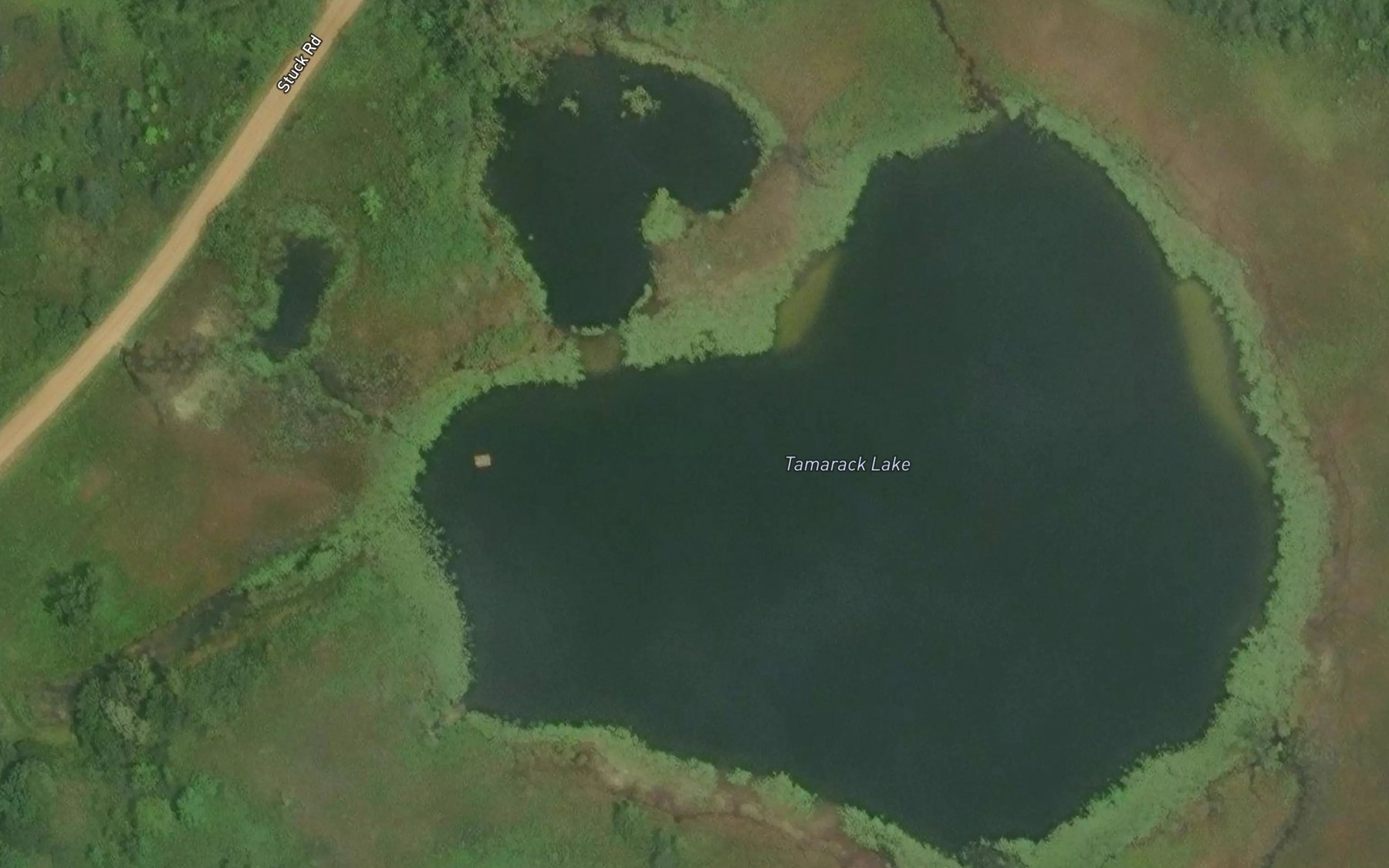 Satellite map of the Tamarack Lake