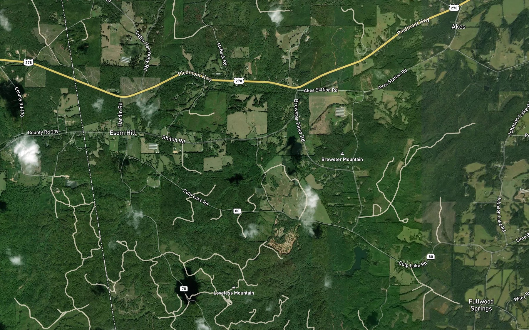 Satellite map of the Shiloh Lake