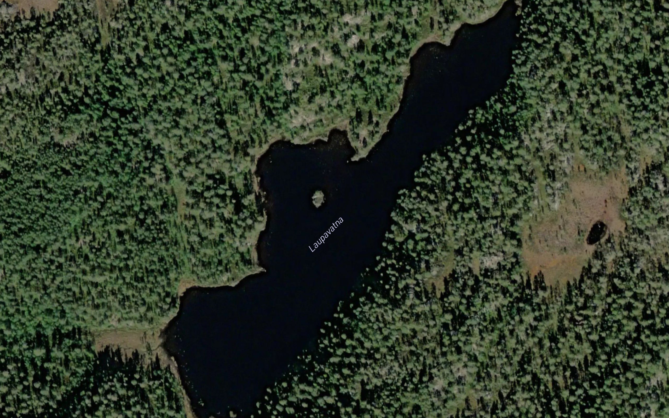Laupavatna