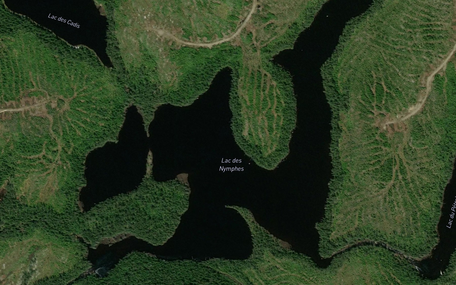 Satellite map of the Lac des Nymphes