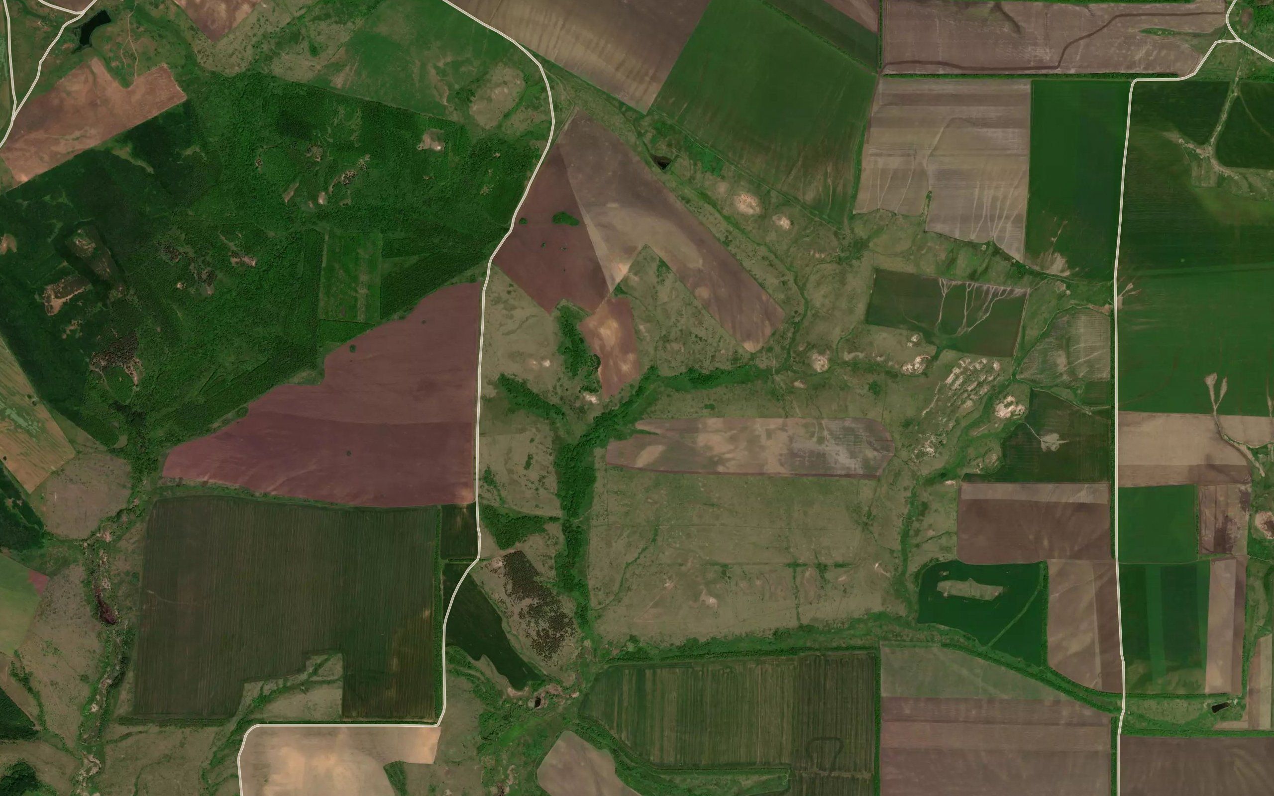 Balka Dubovaya