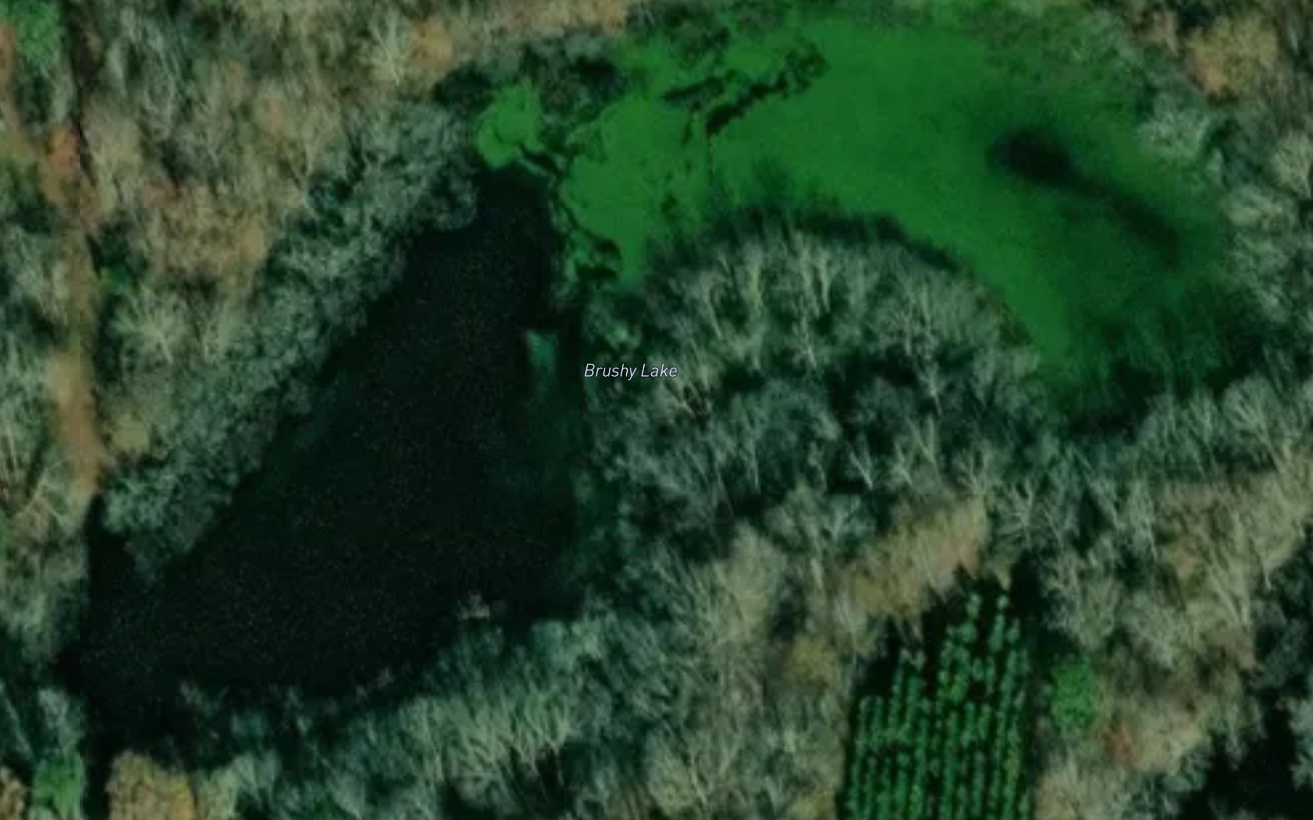 Brushy Lake