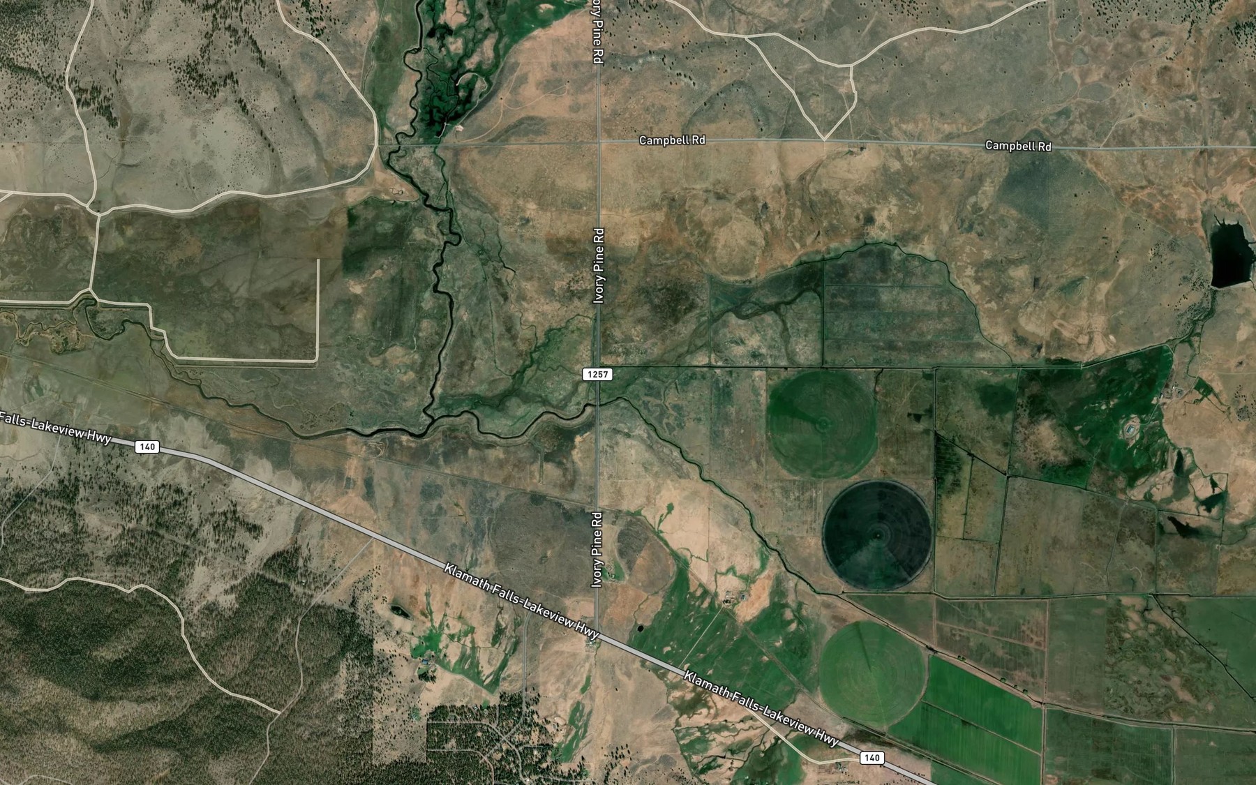 Satellite map of the Leonard Slough