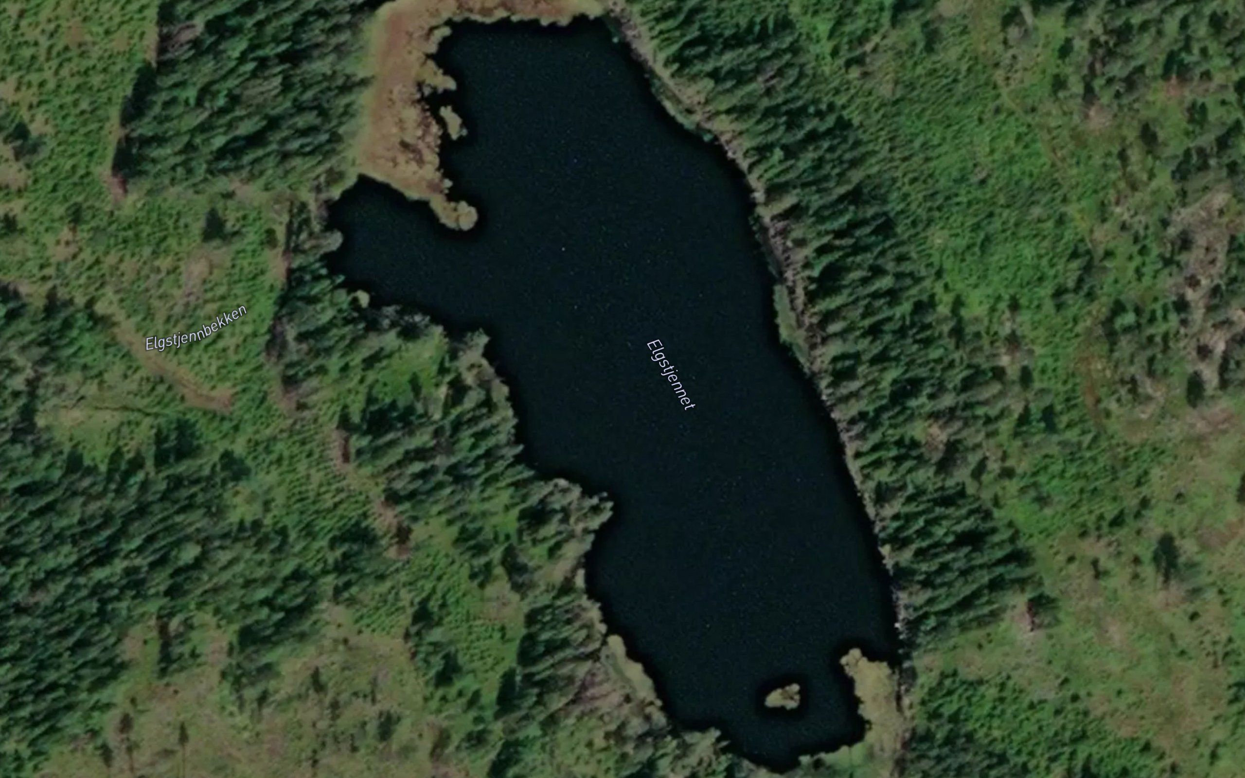 Elgstjernet