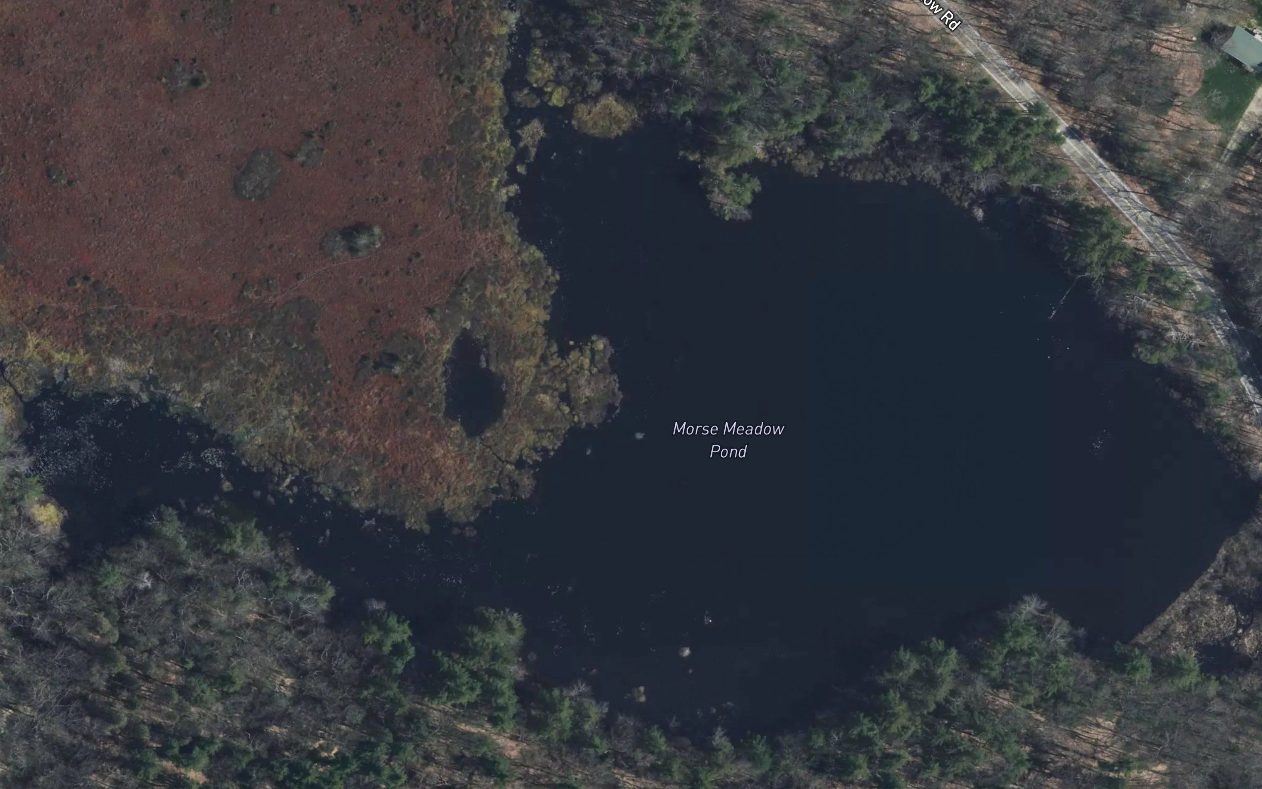 Morse Meadow Pond