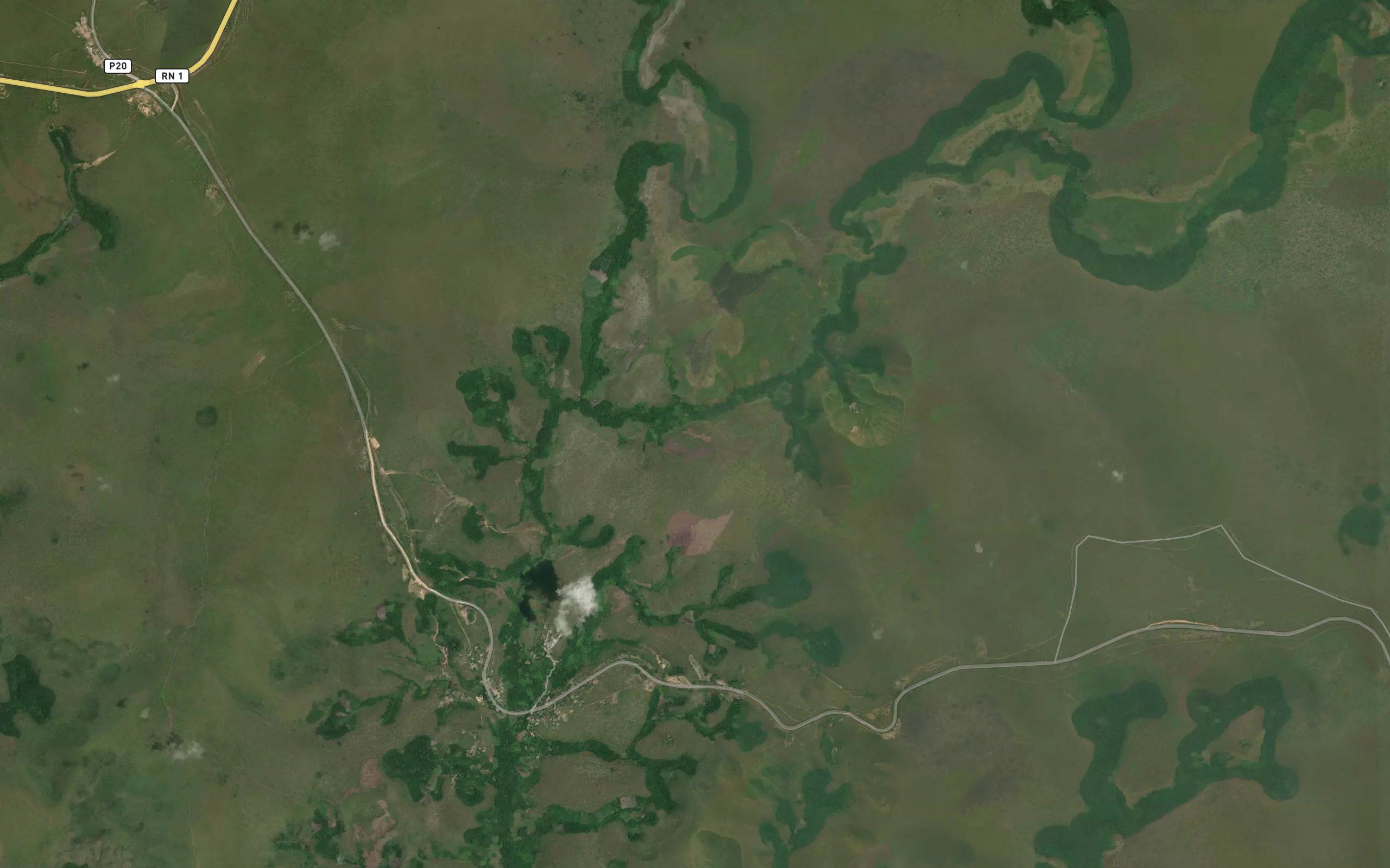 Nkoue