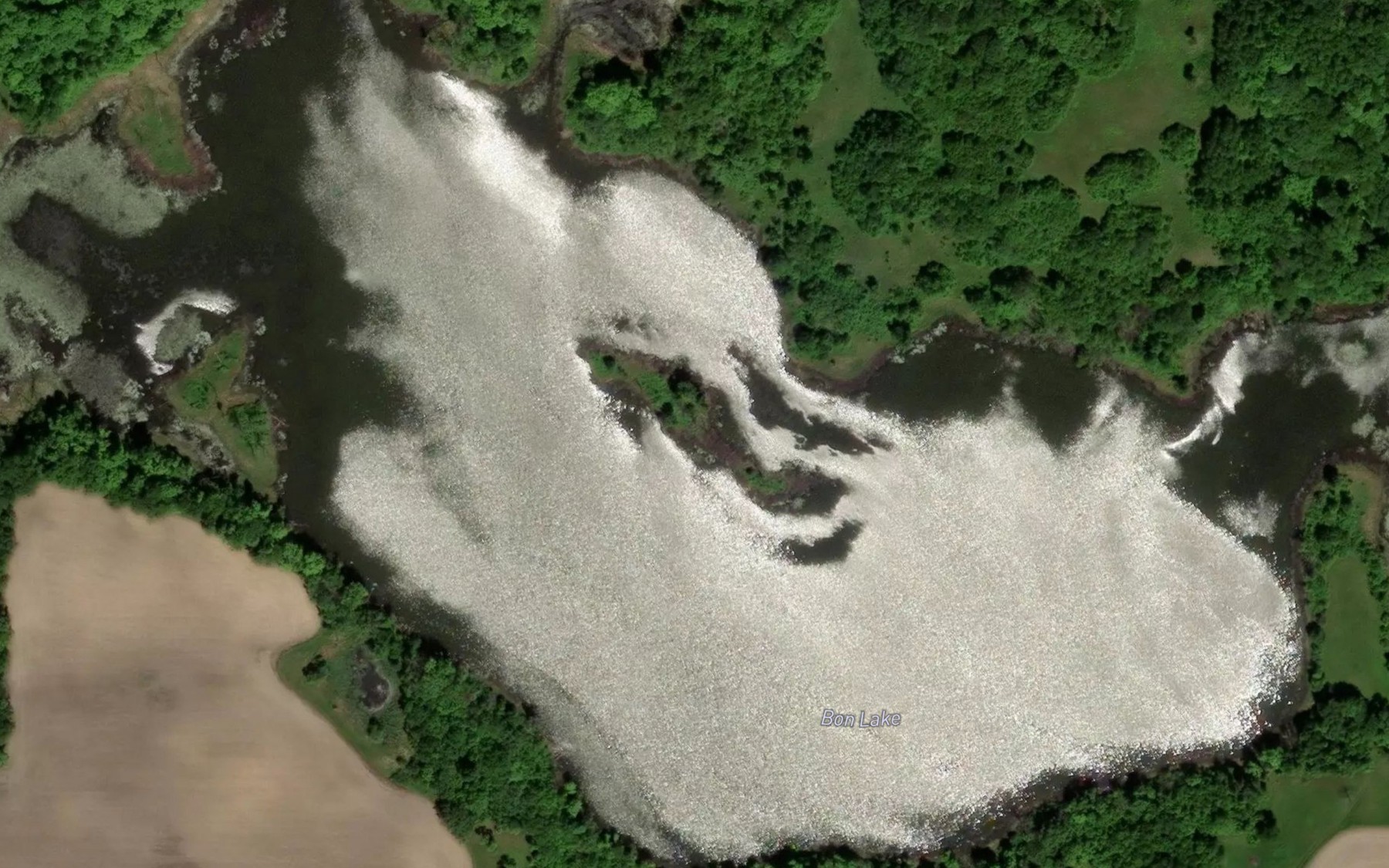 Satellite map of the Bon Lake
