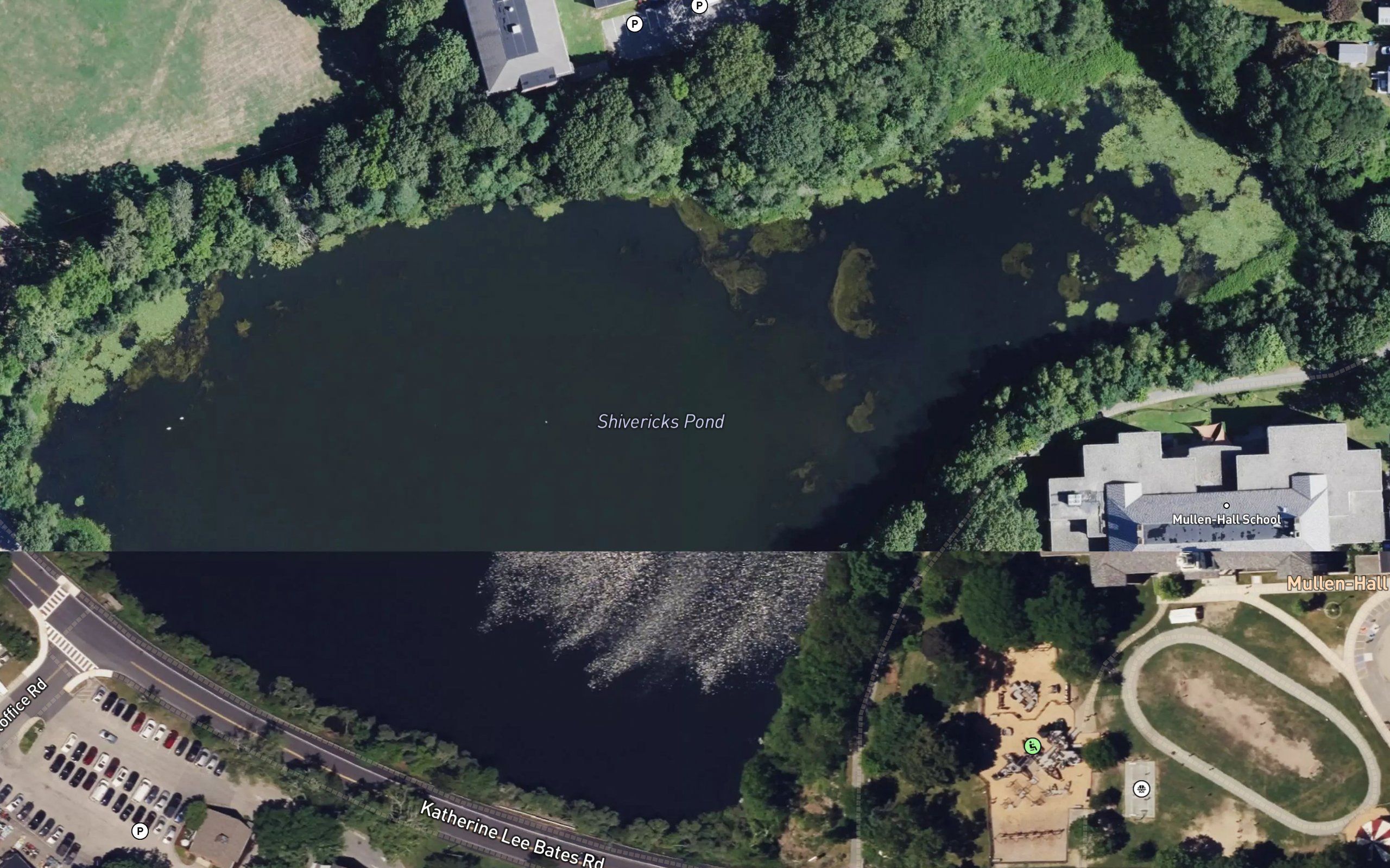 Shivericks Pond