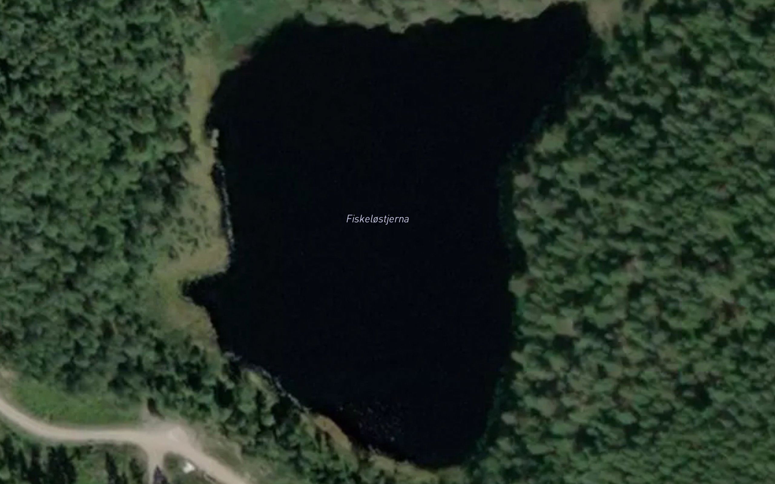 Fiskelostjerna