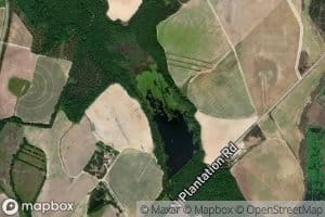 Brinson Lake