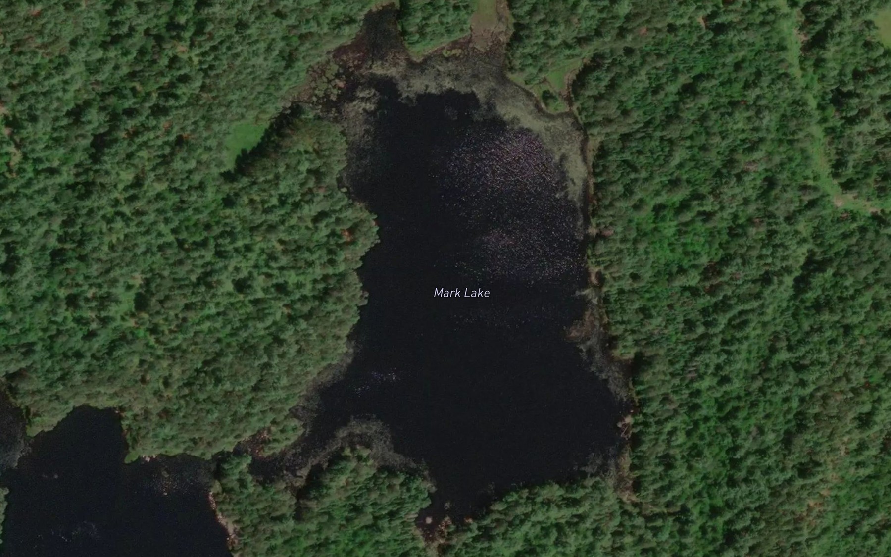 Satellite map of the Mark Lake