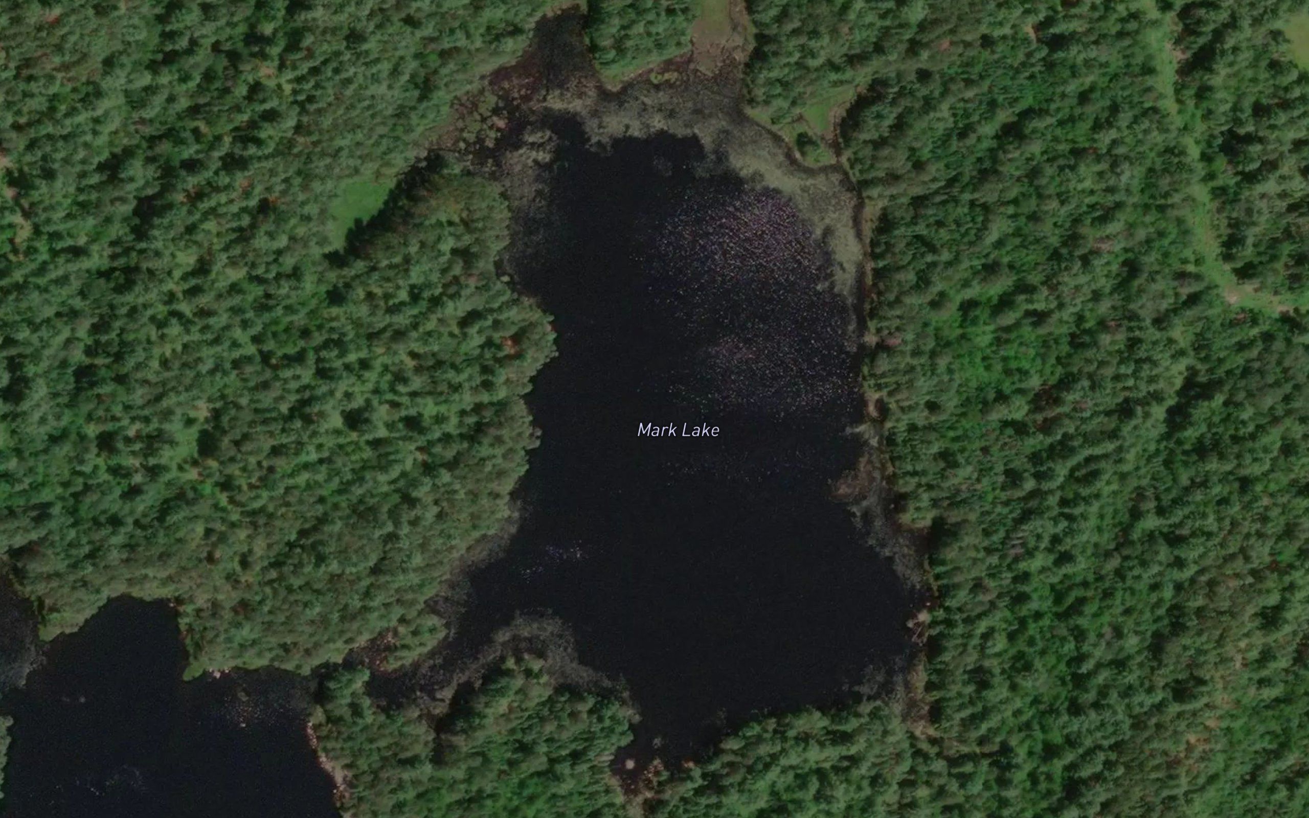 Mark Lake