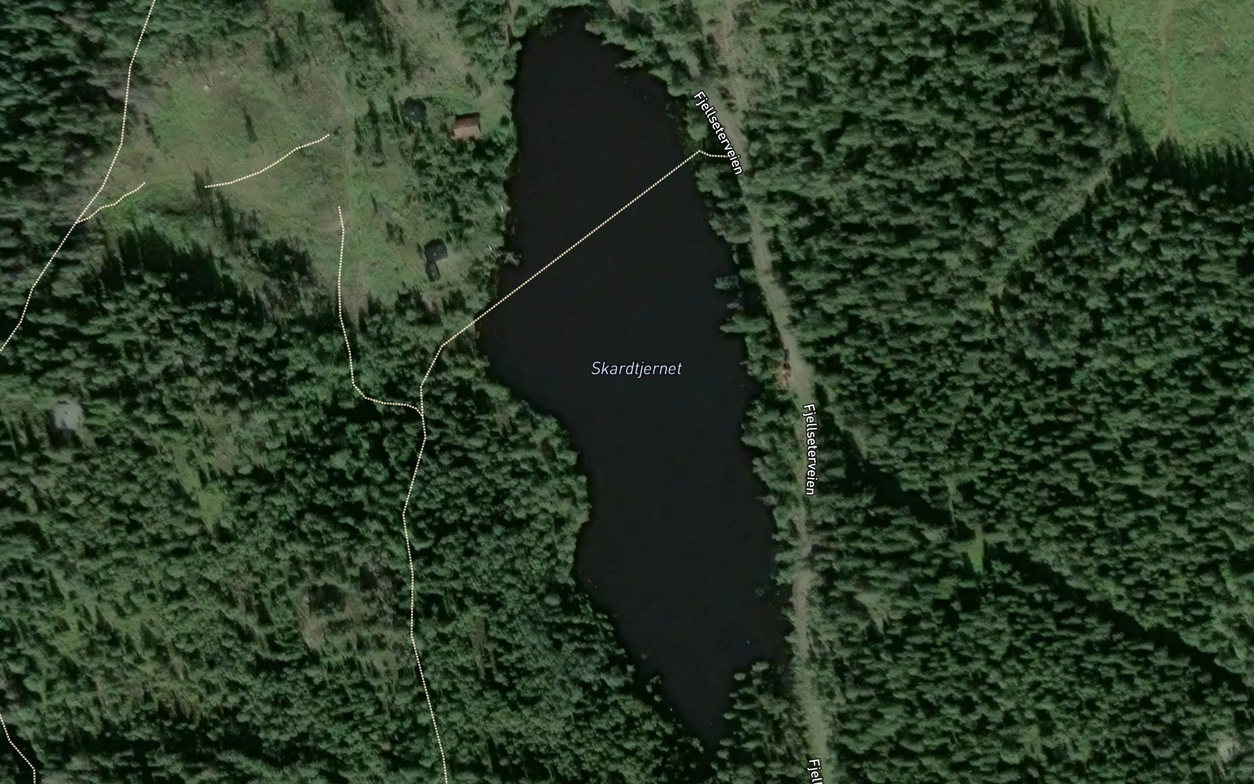 Skardtjernet