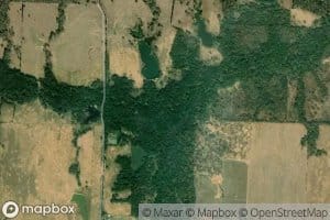 Tanbark Creek
