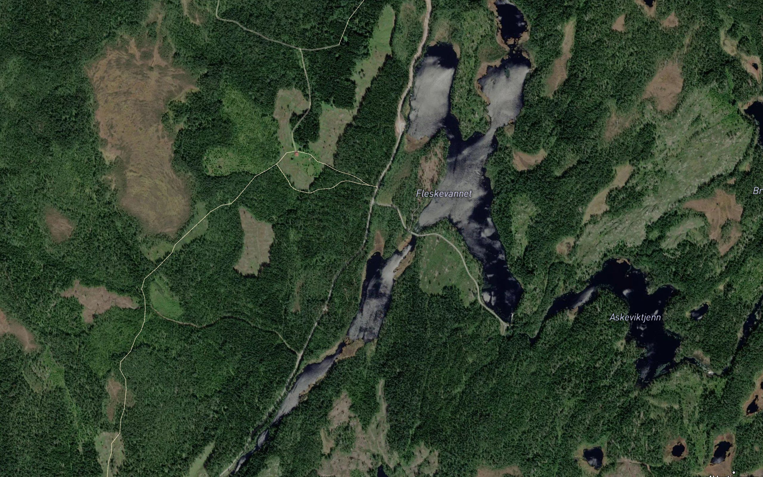 Fleskevann