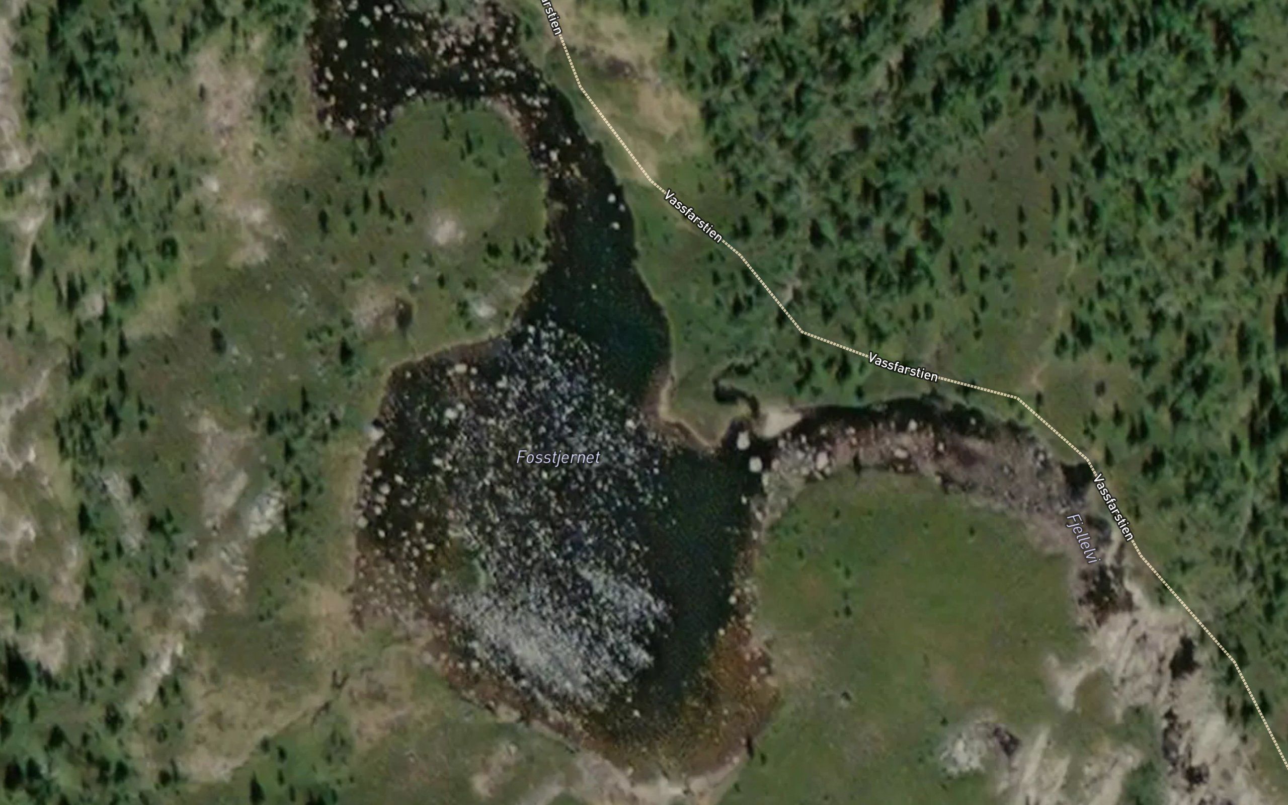Fosstjernet