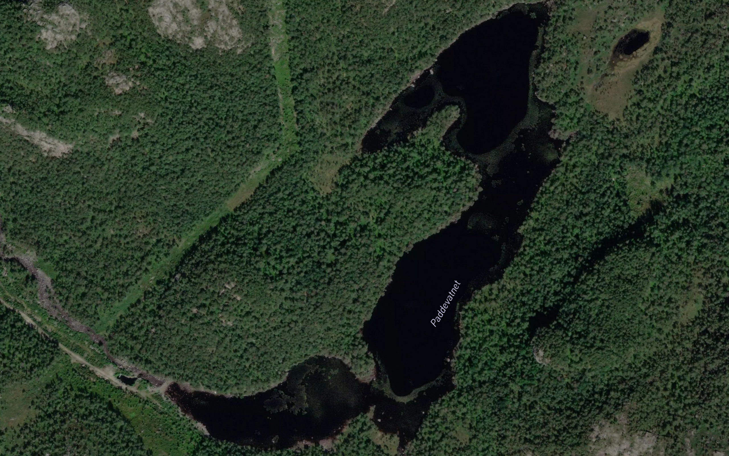 Paddevatnet