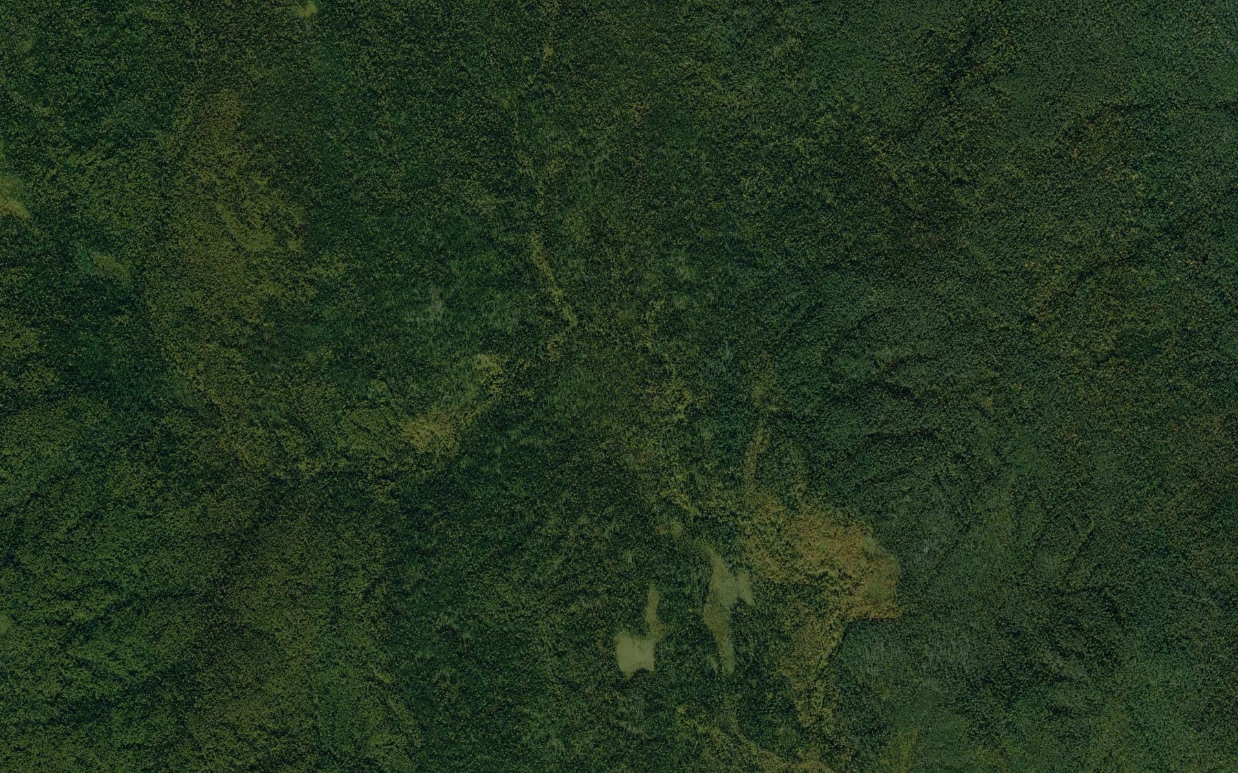 Satellite map of the Nemnyuga