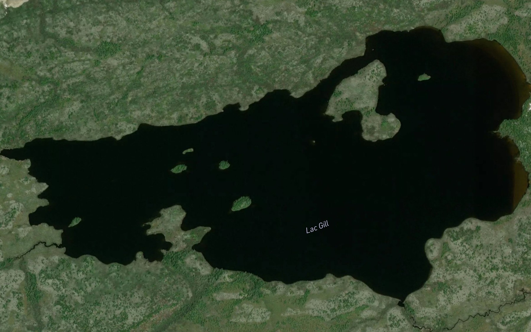 Satellite map of the Lac Gill