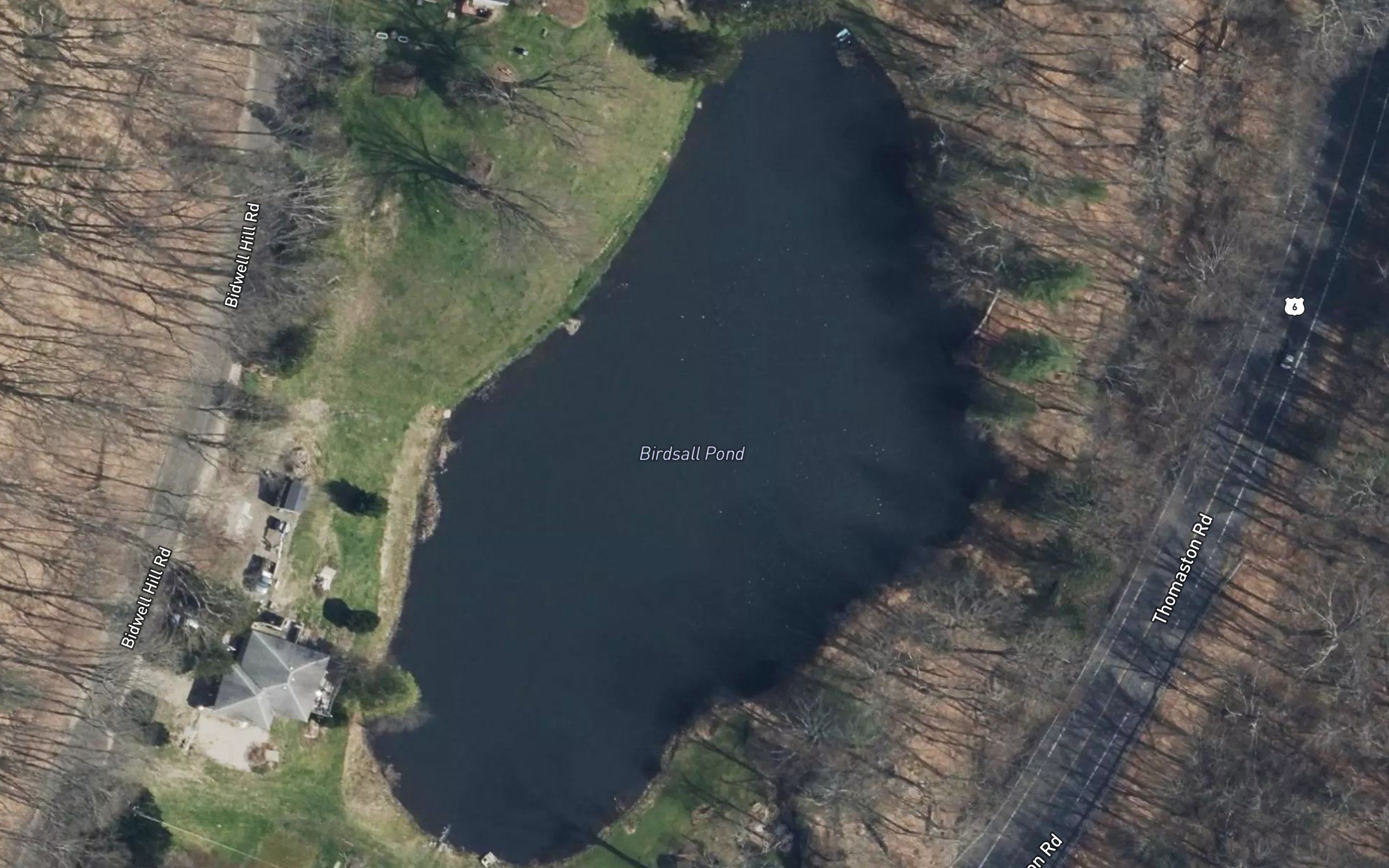 Birdsall Pond