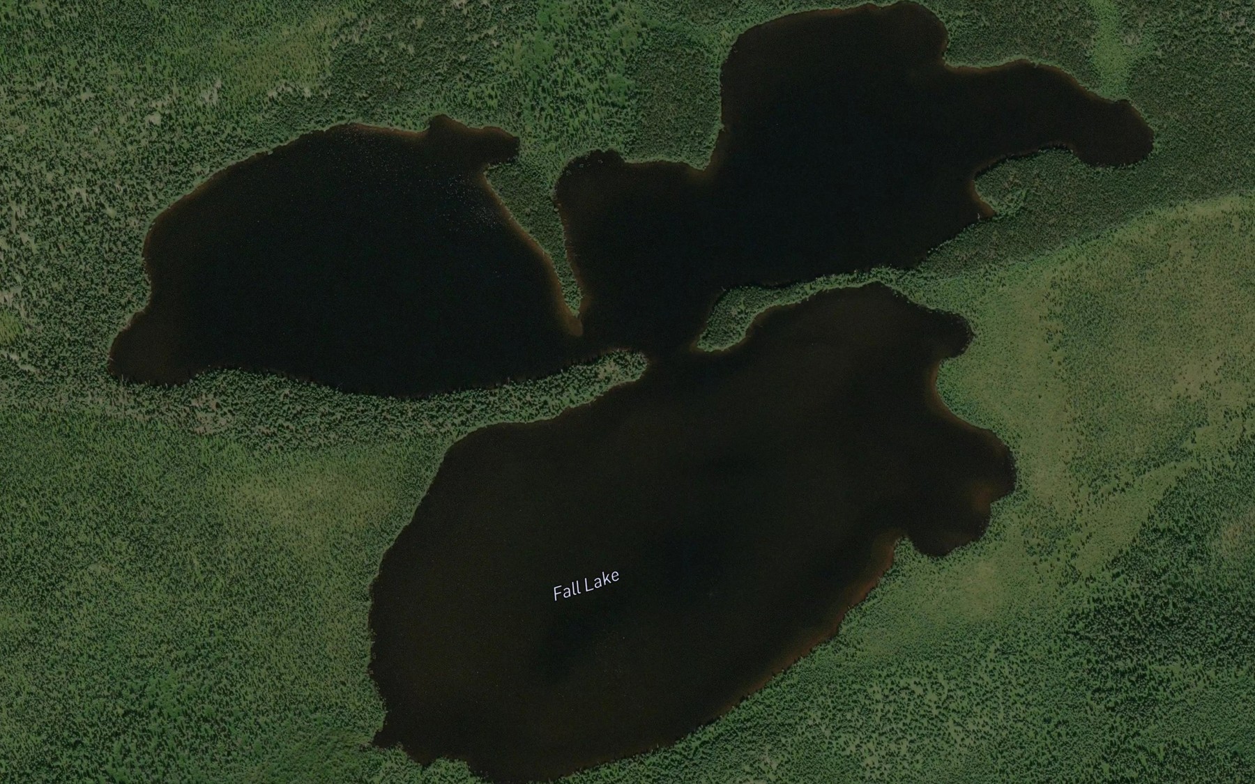 Satellite map of the Fall Lake