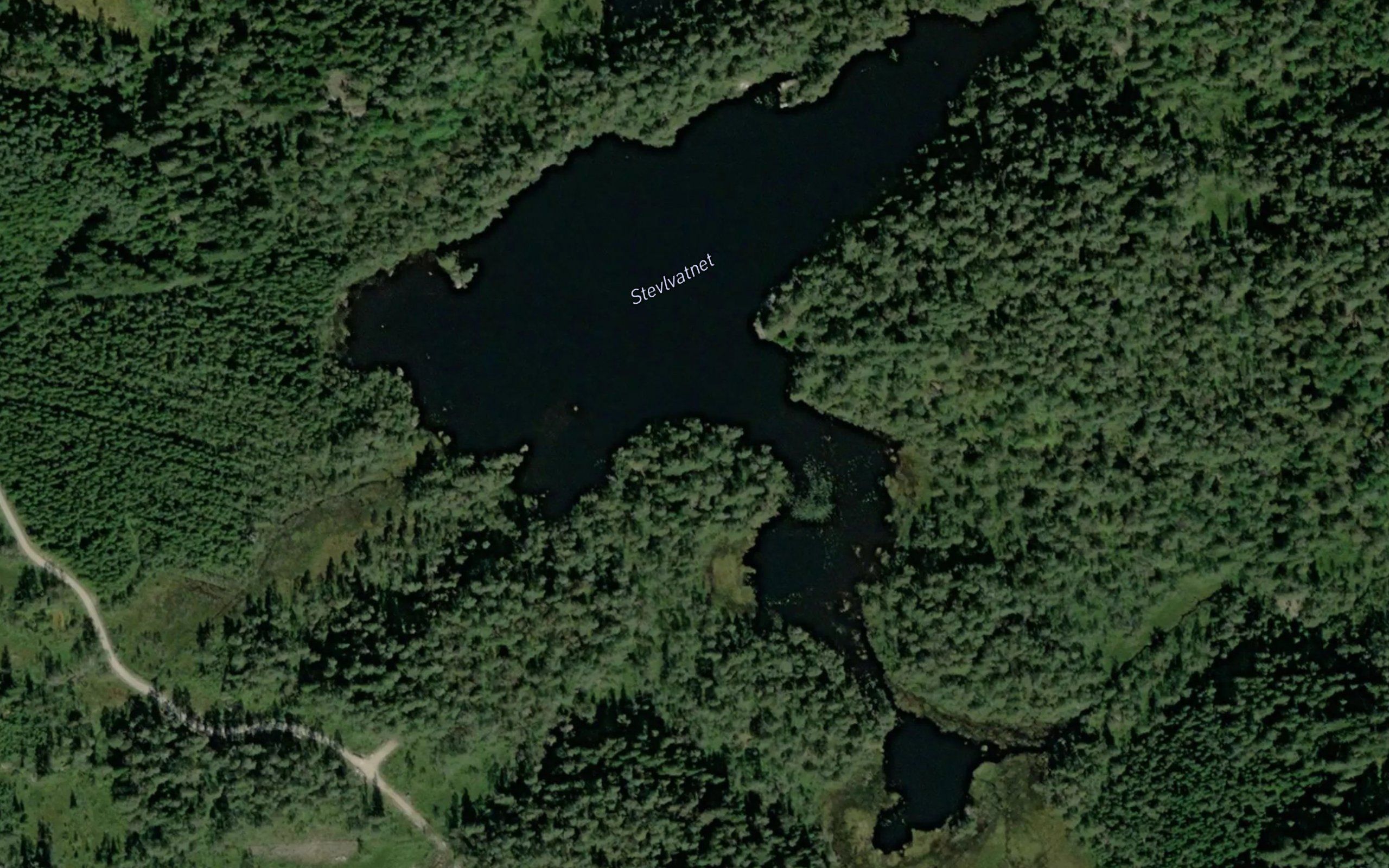 Stevlevann