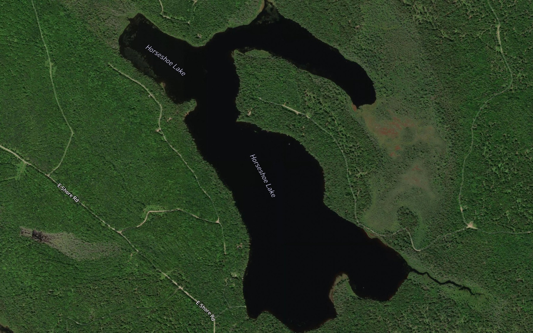 Satellite map of the Horseshoe Lake
