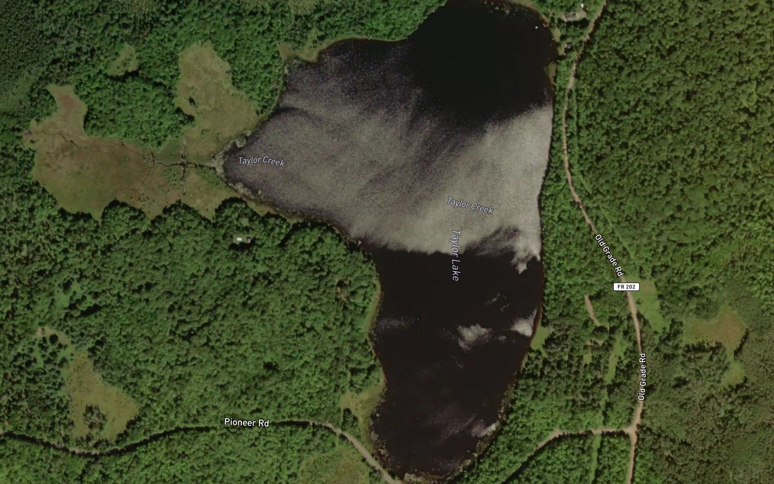 Taylor Lake