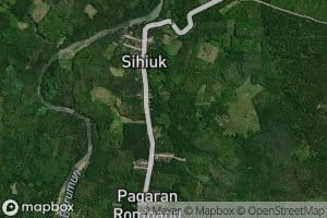 Aek Parkinaanan