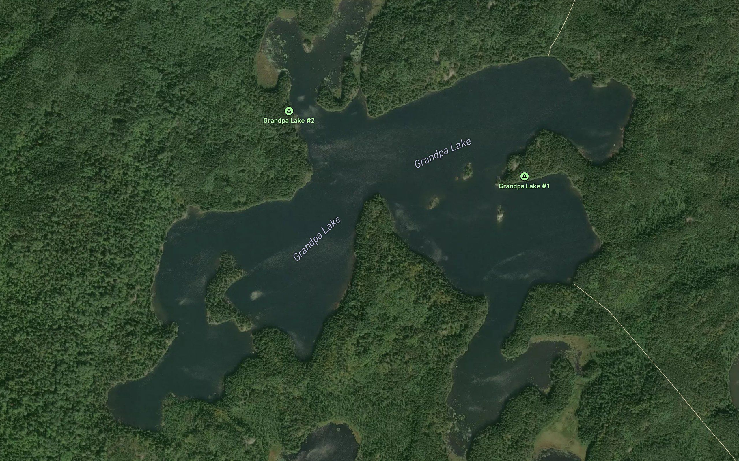 Grandpa Lake