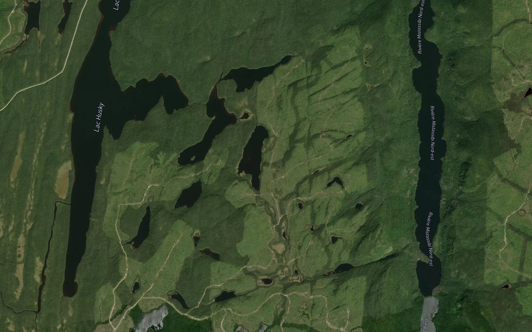 Satellite map of the Lac du Rongeur