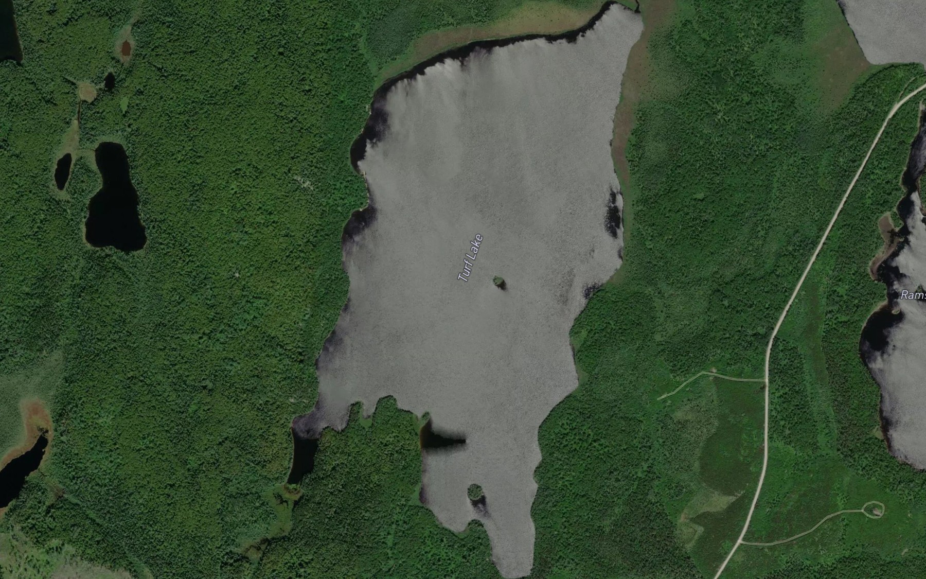Satellite map of the Turf Lake