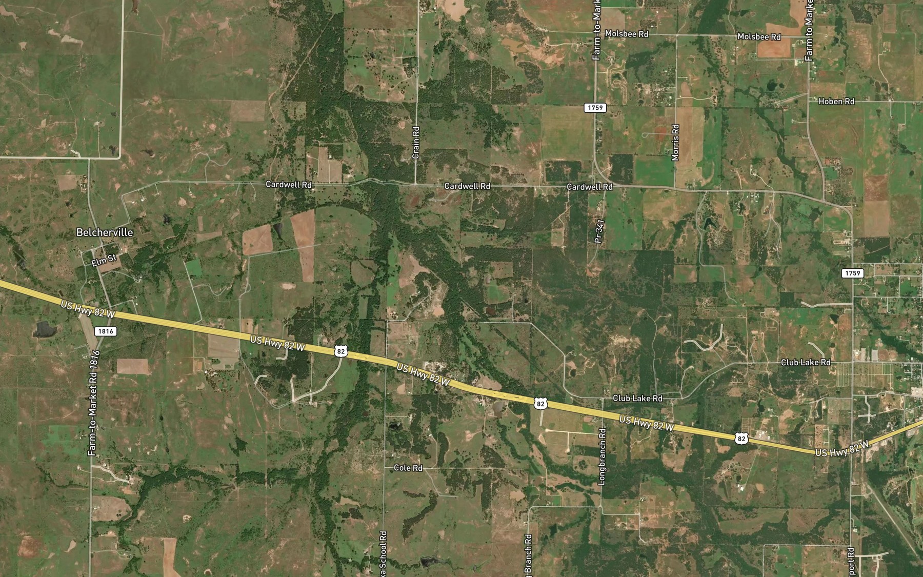 Satellite map of the Long Branch