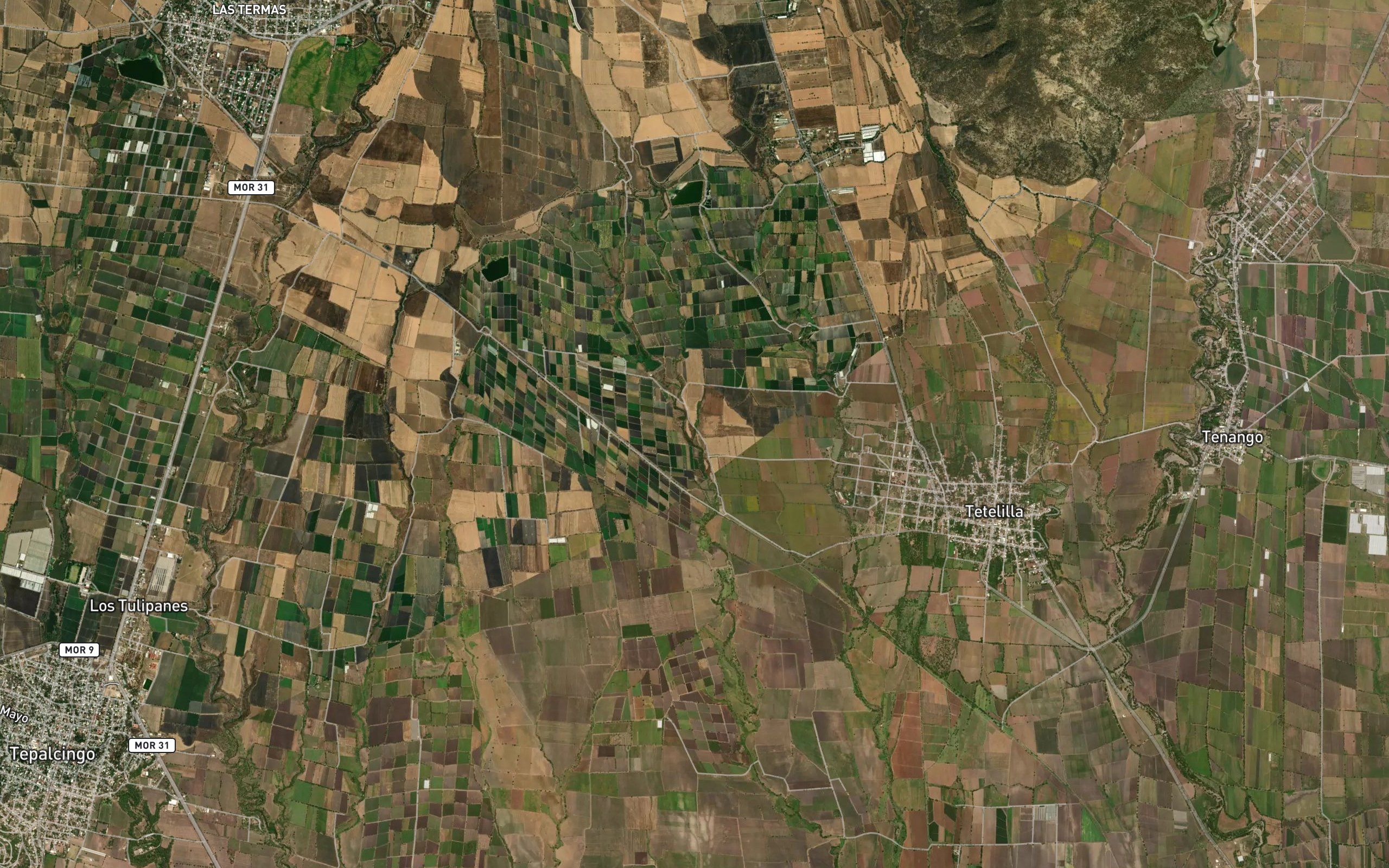 Barranca del Zacate