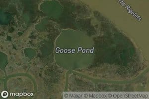 Goose Pond