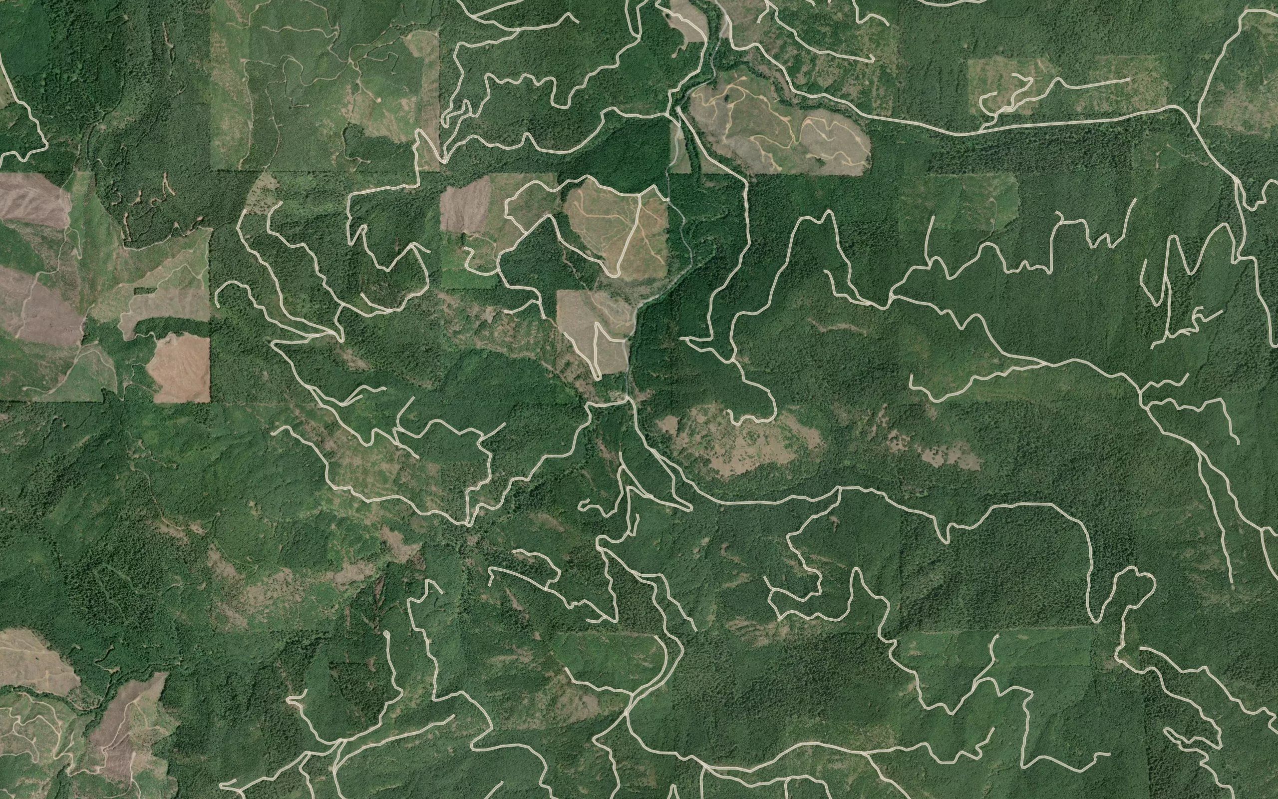 Dice Creek