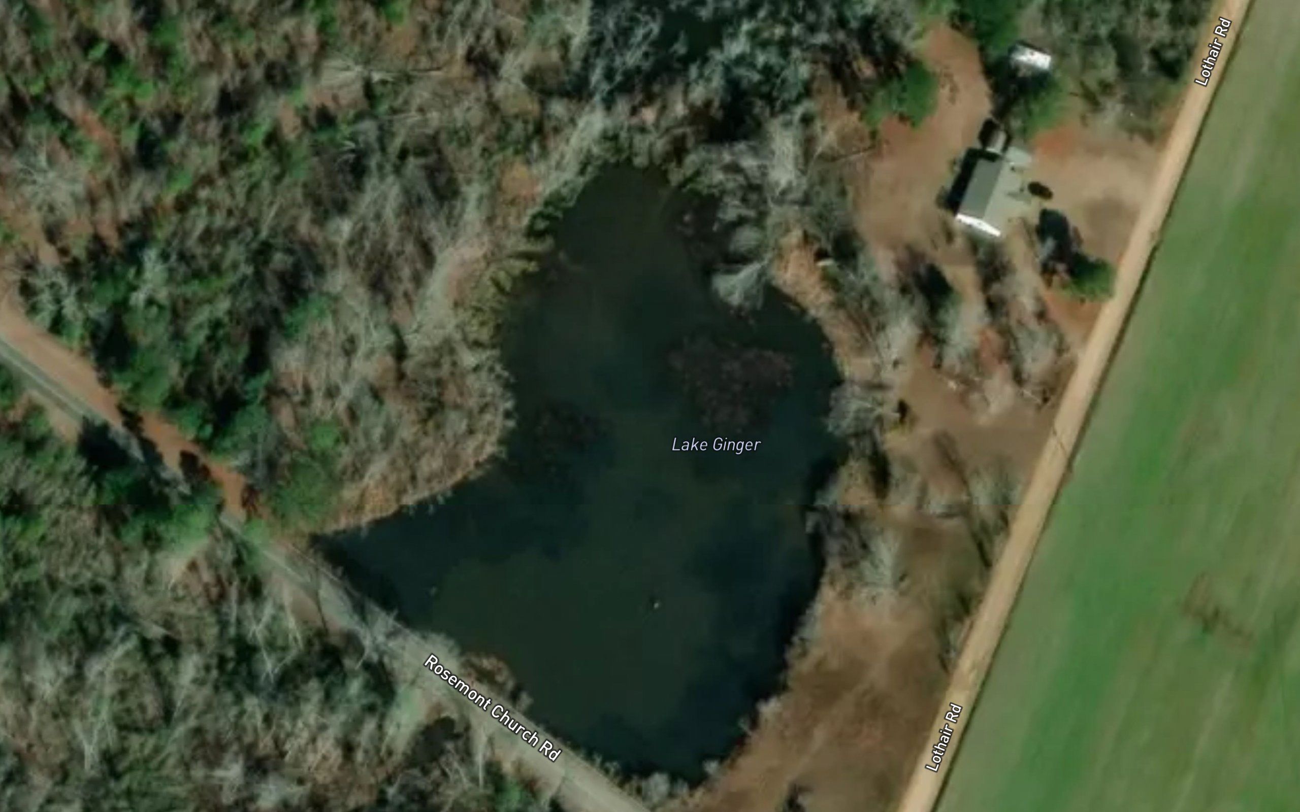 Lake Ginger